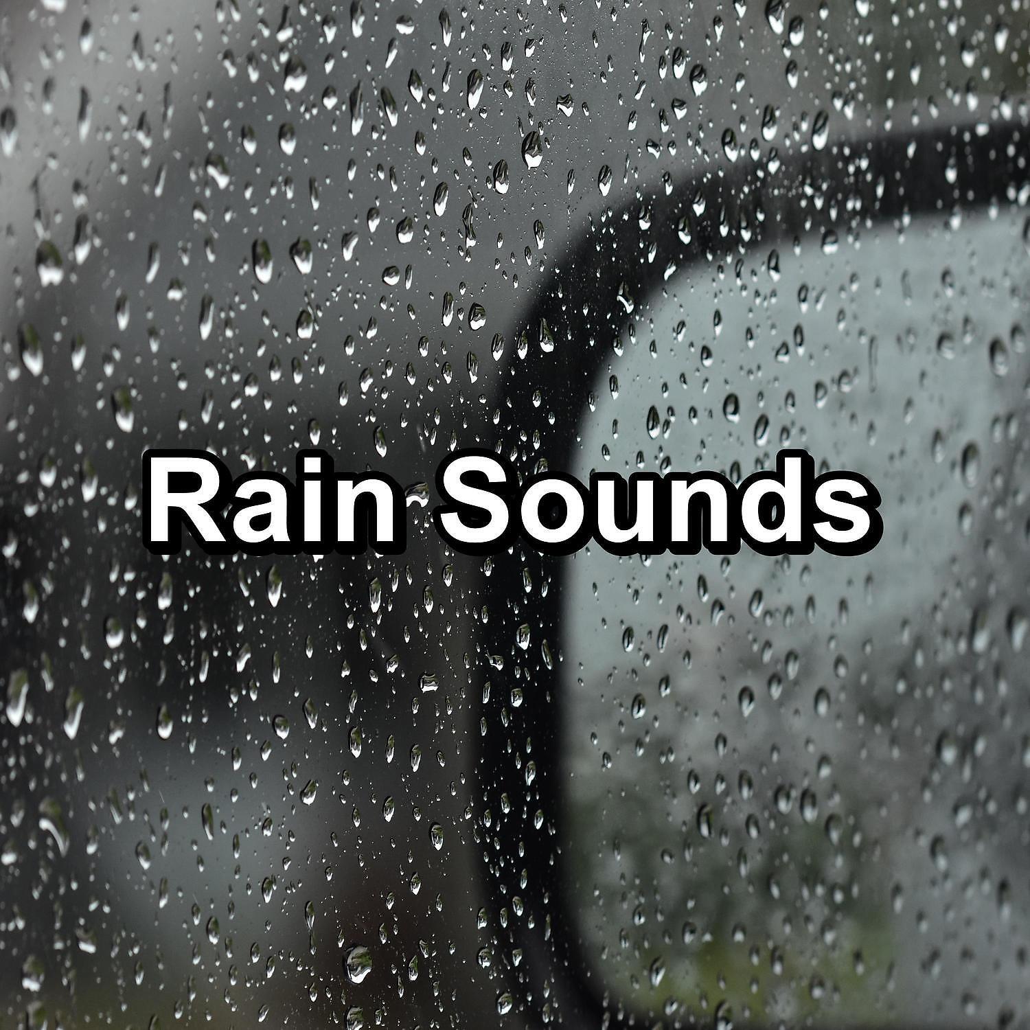 Релиз Rain Sounds