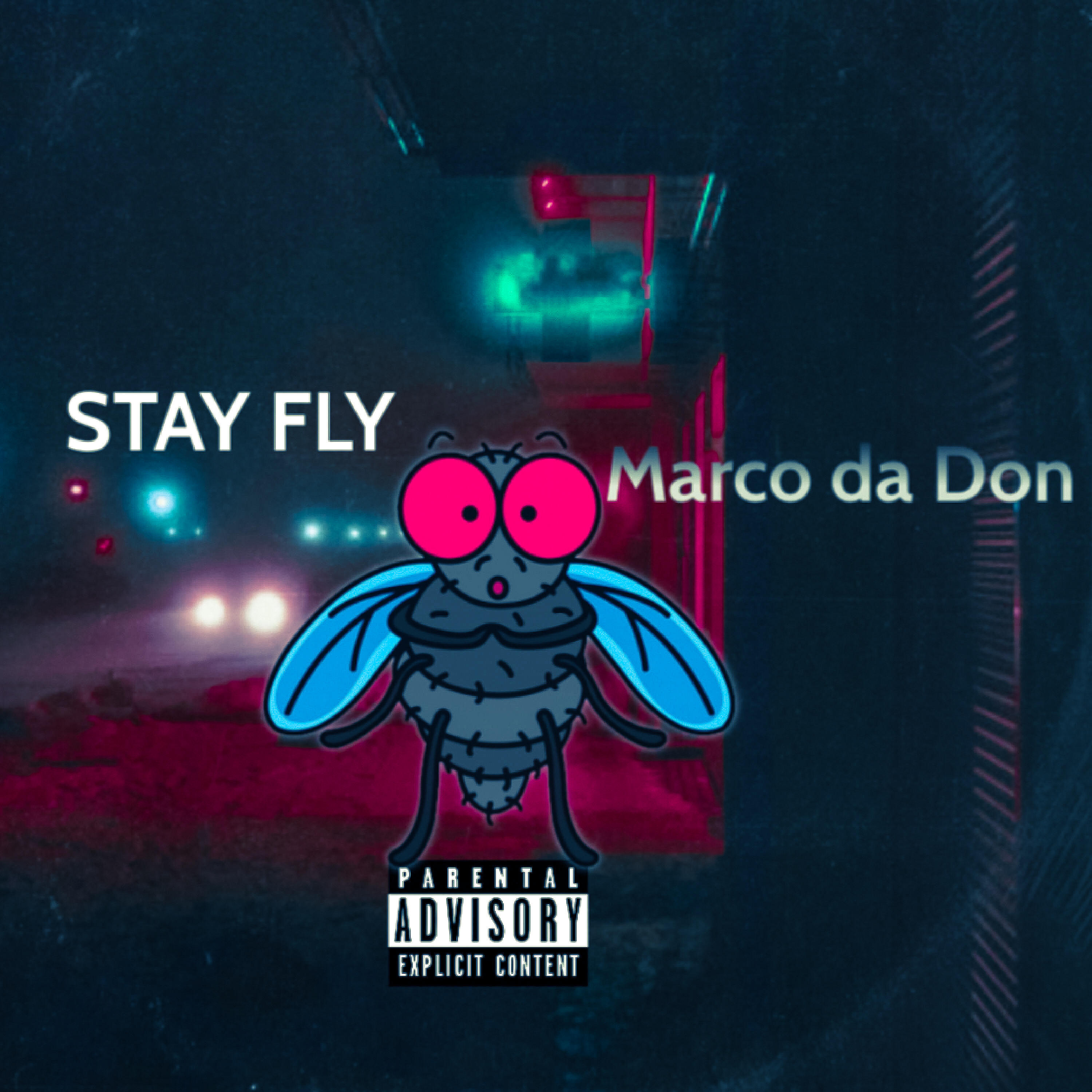 Релиз Stay Fly
