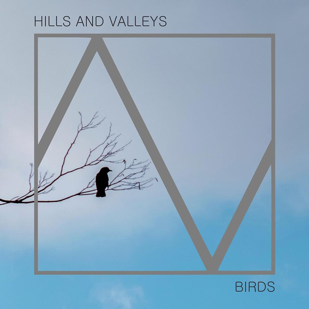 Релиз Birds