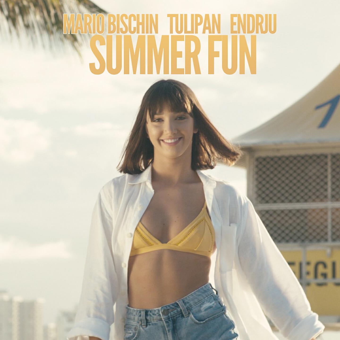 Tulipan