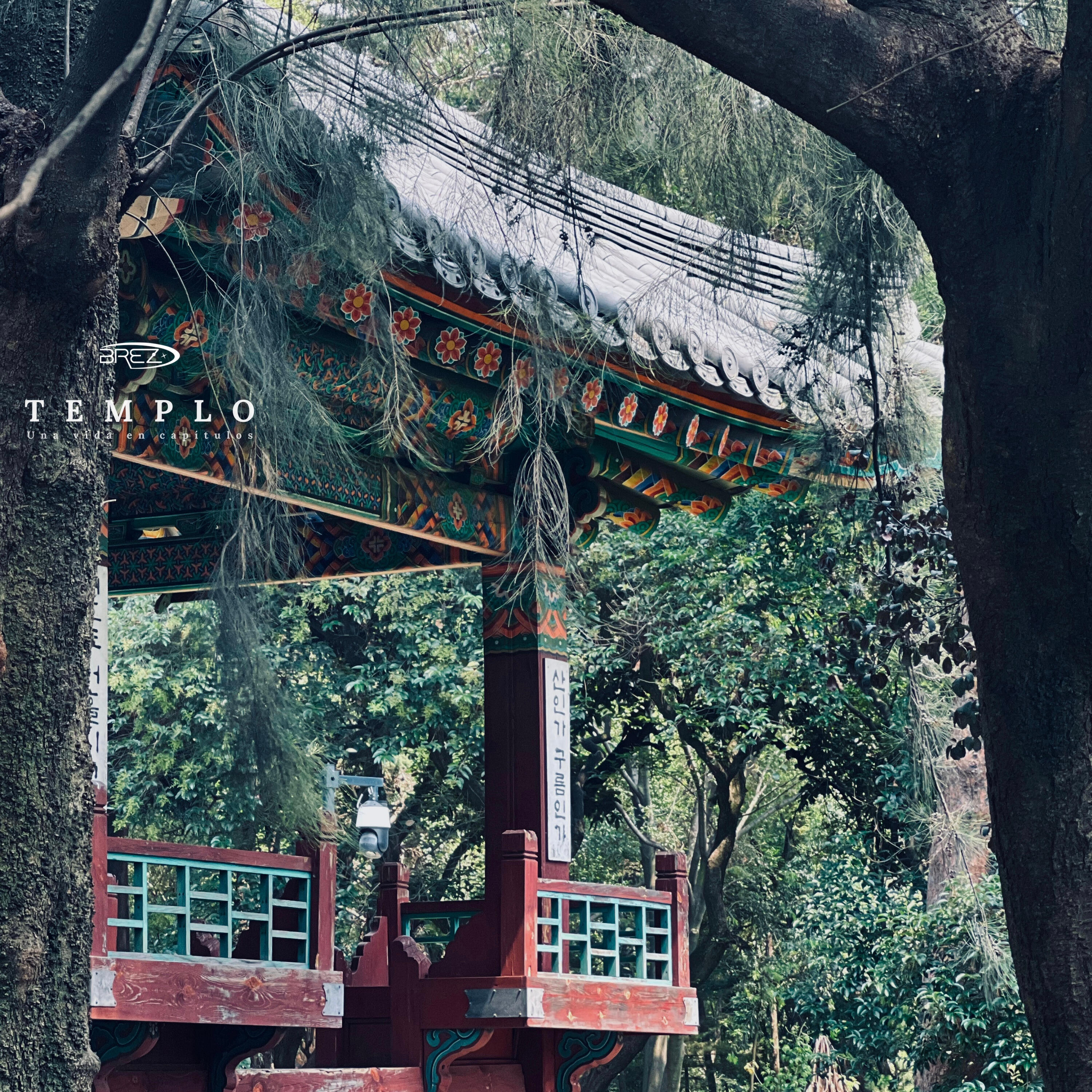 Релиз Templo una Vida en Capítulos