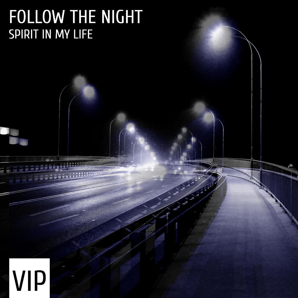 Релиз Spirit In My Life VIP