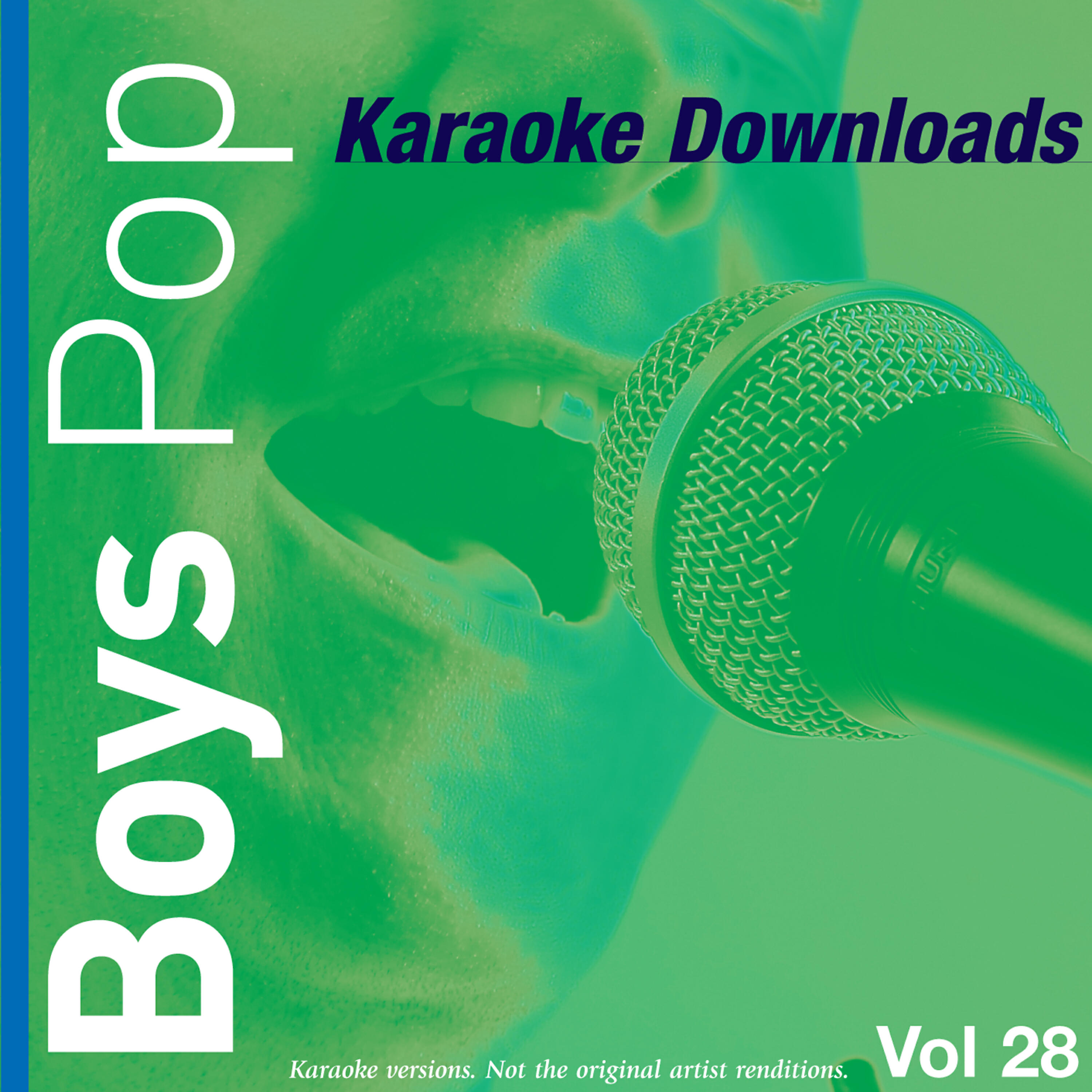 Релиз Karaoke Downloads - Boys Pop Vol.28