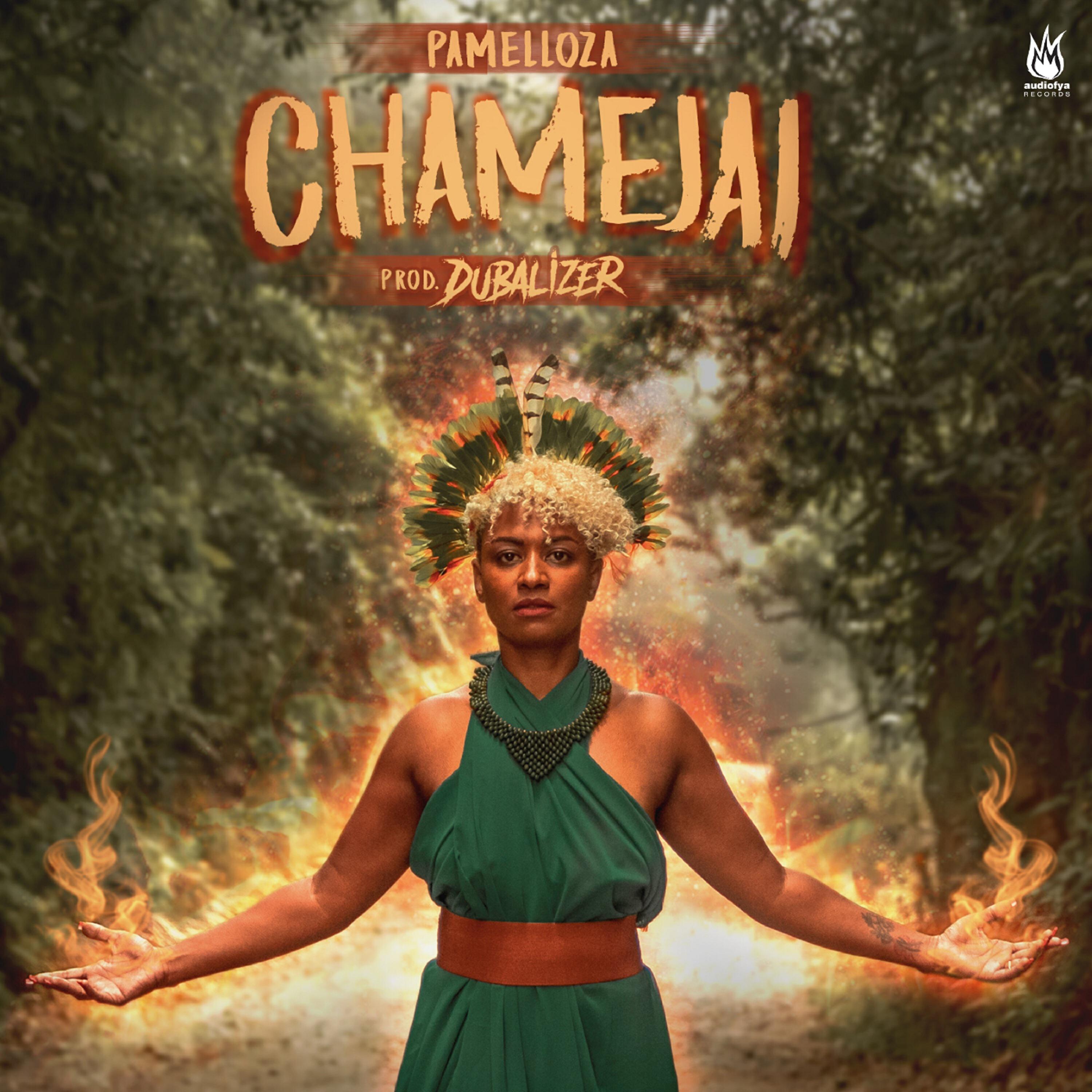 Релиз Chamejai