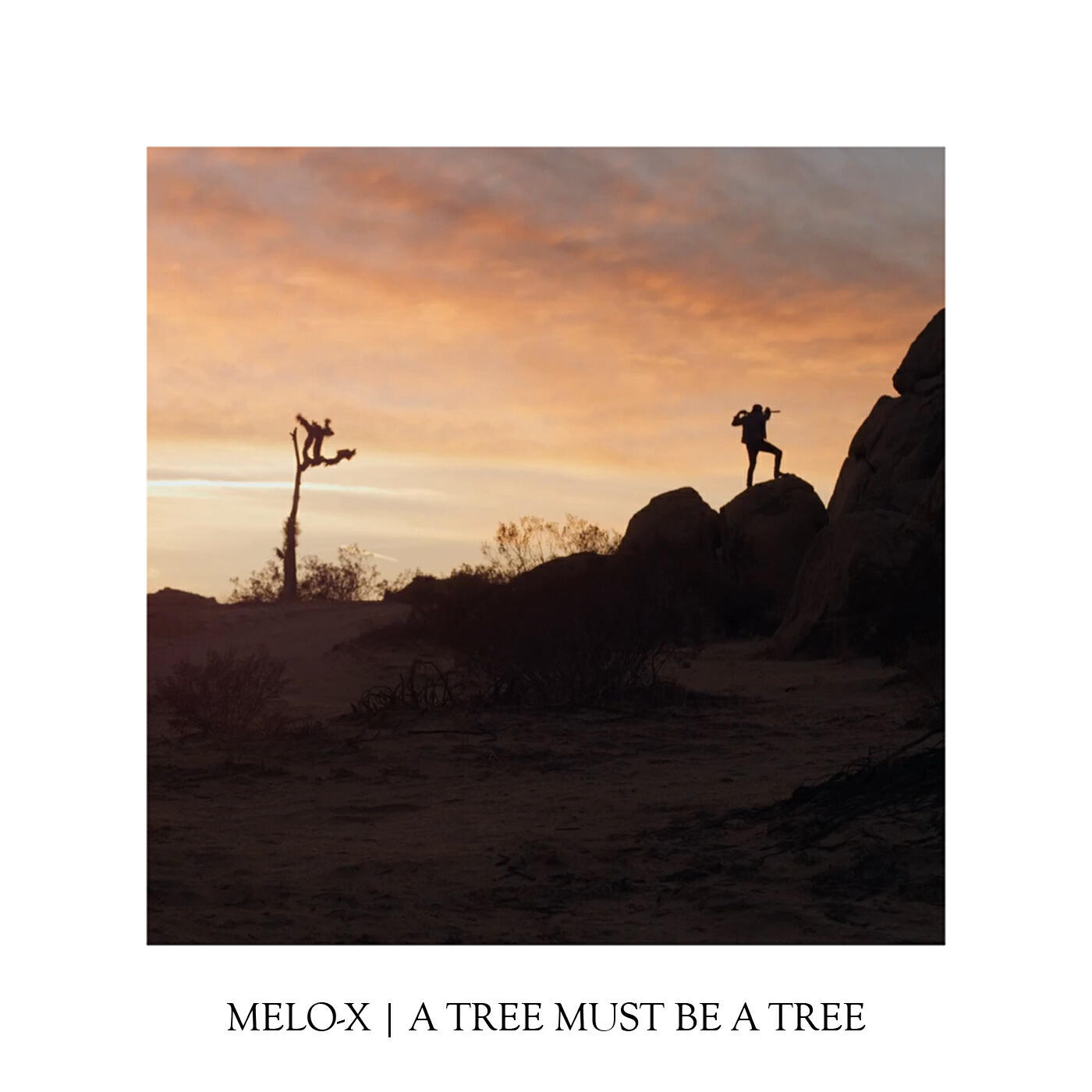 Релиз A Tree Must Be A Tree