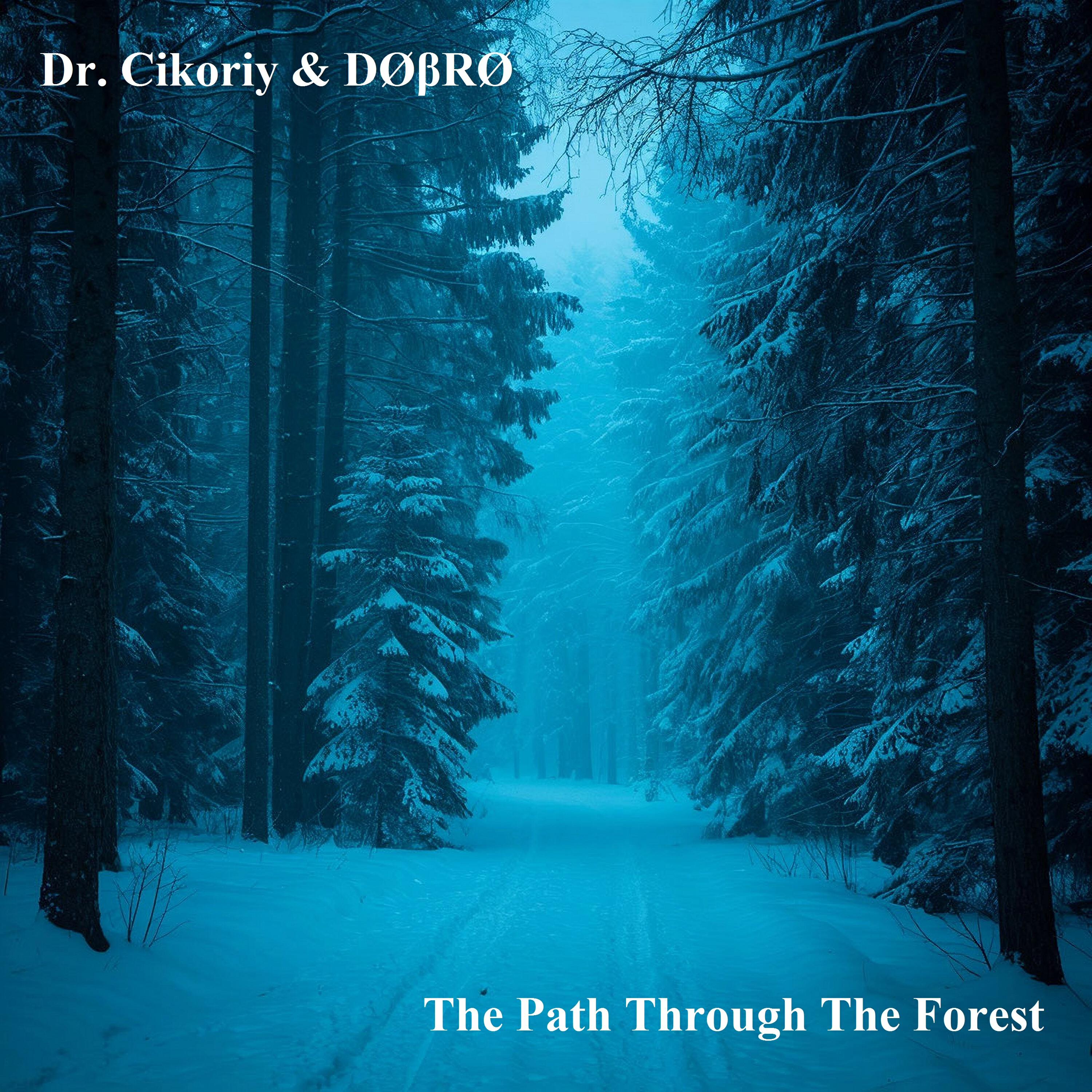Постер альбома The Path Through the Forest
