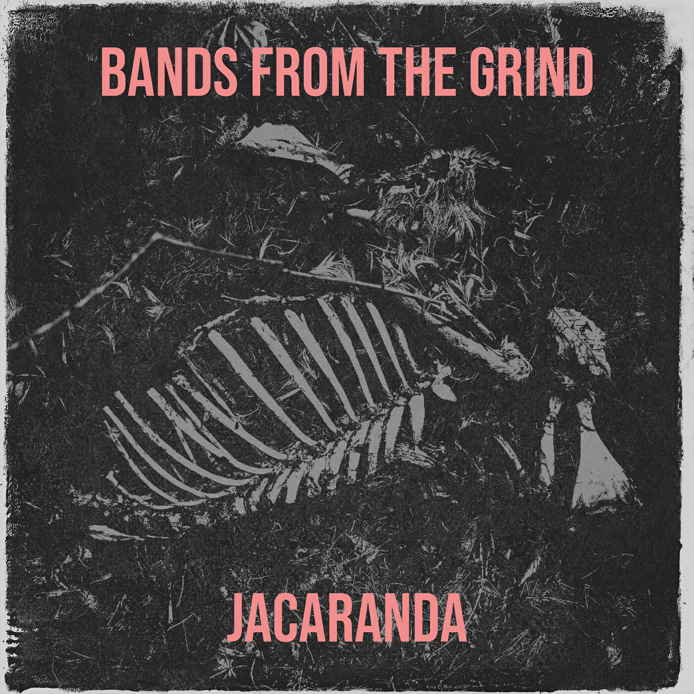 Постер альбома Bands from the Grind