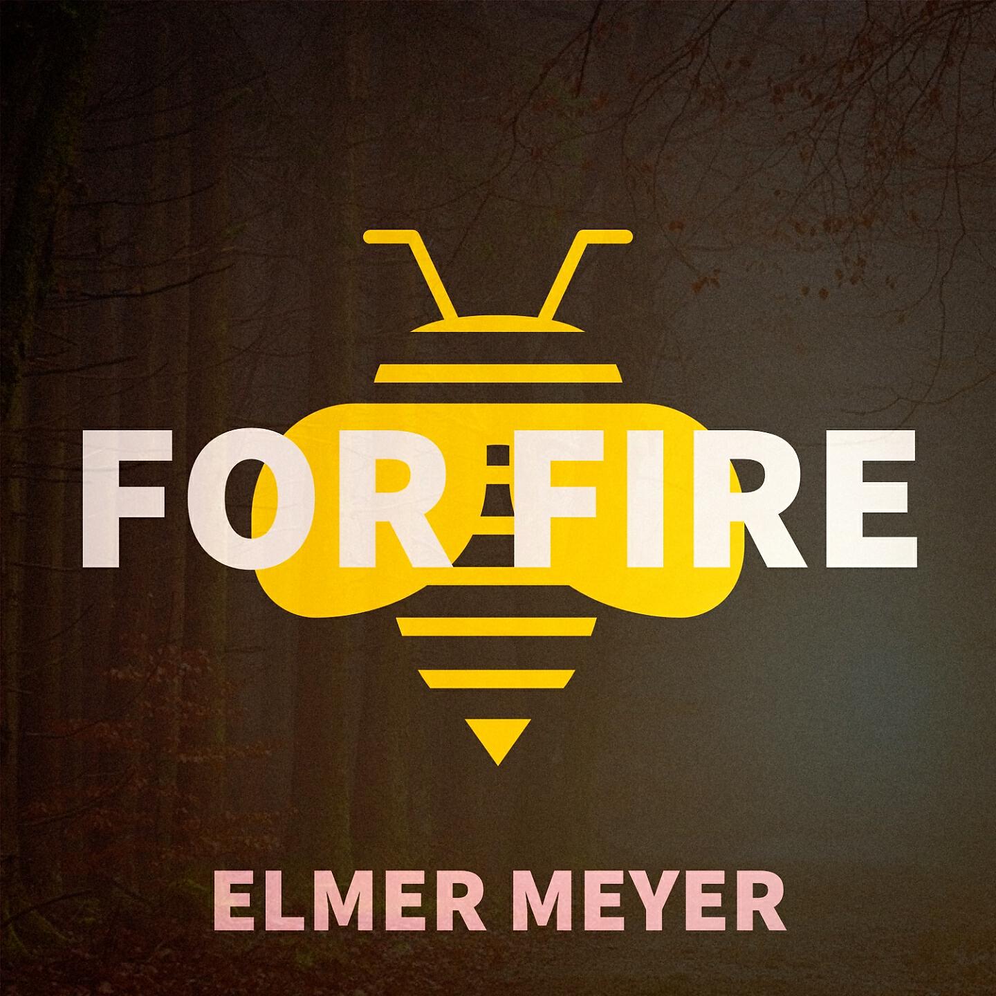 Релиз For Fire