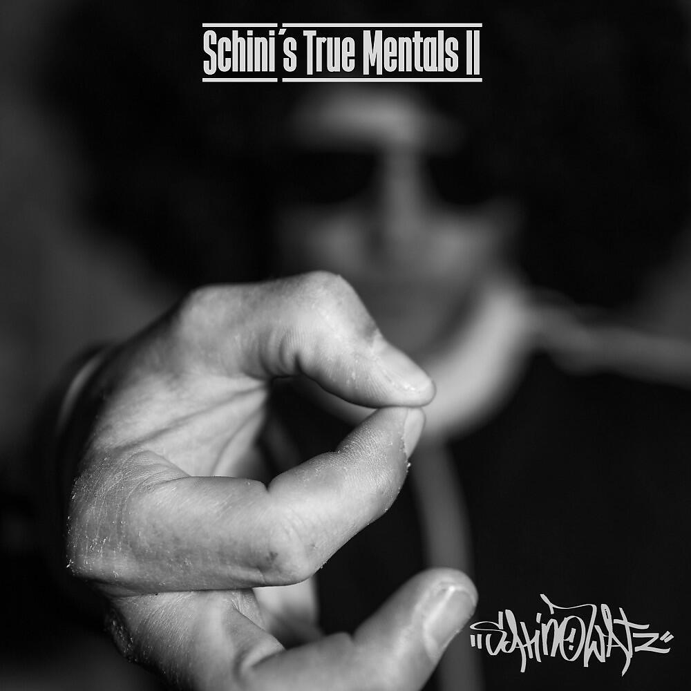 Релиз Schini's True Mentals II