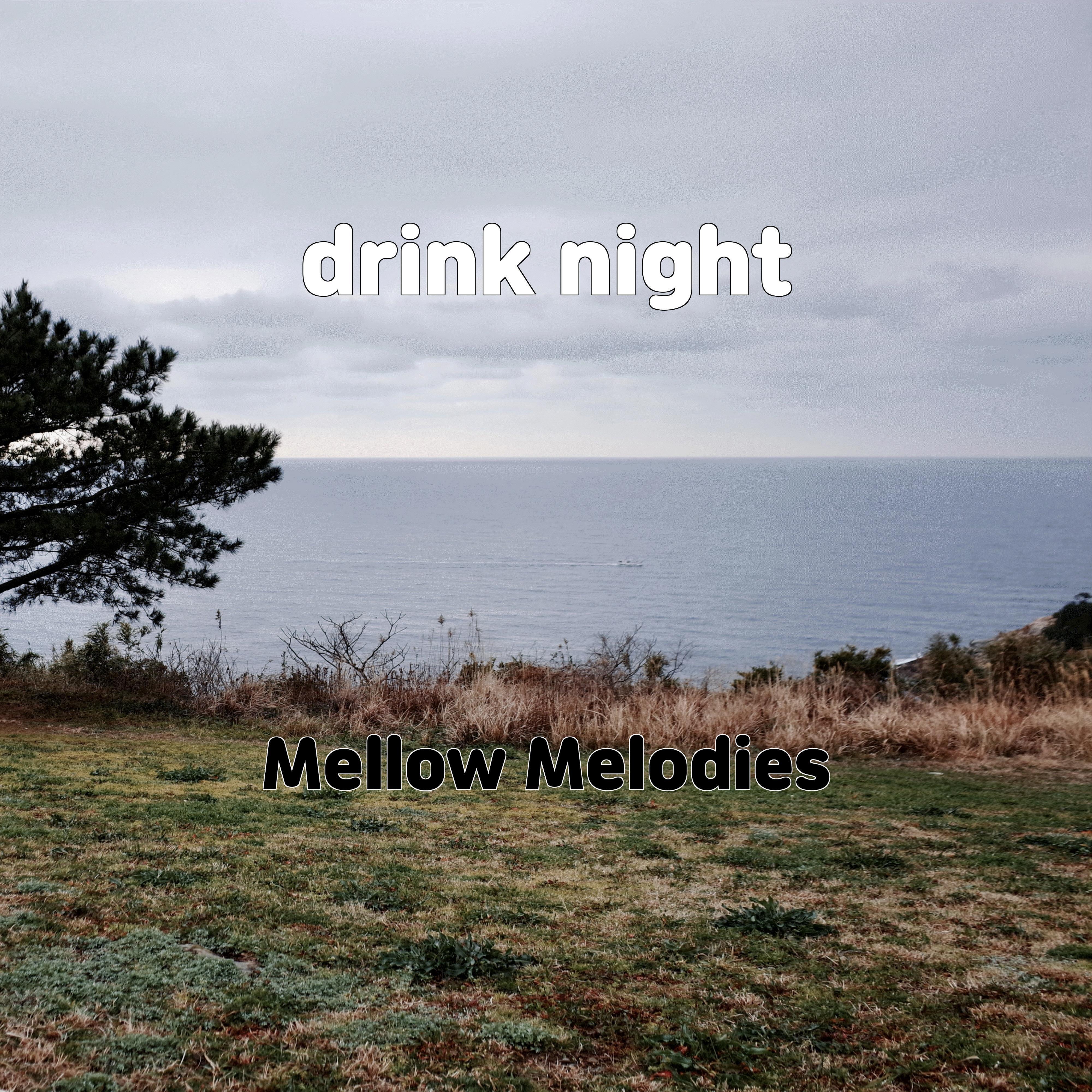 Релиз drink night