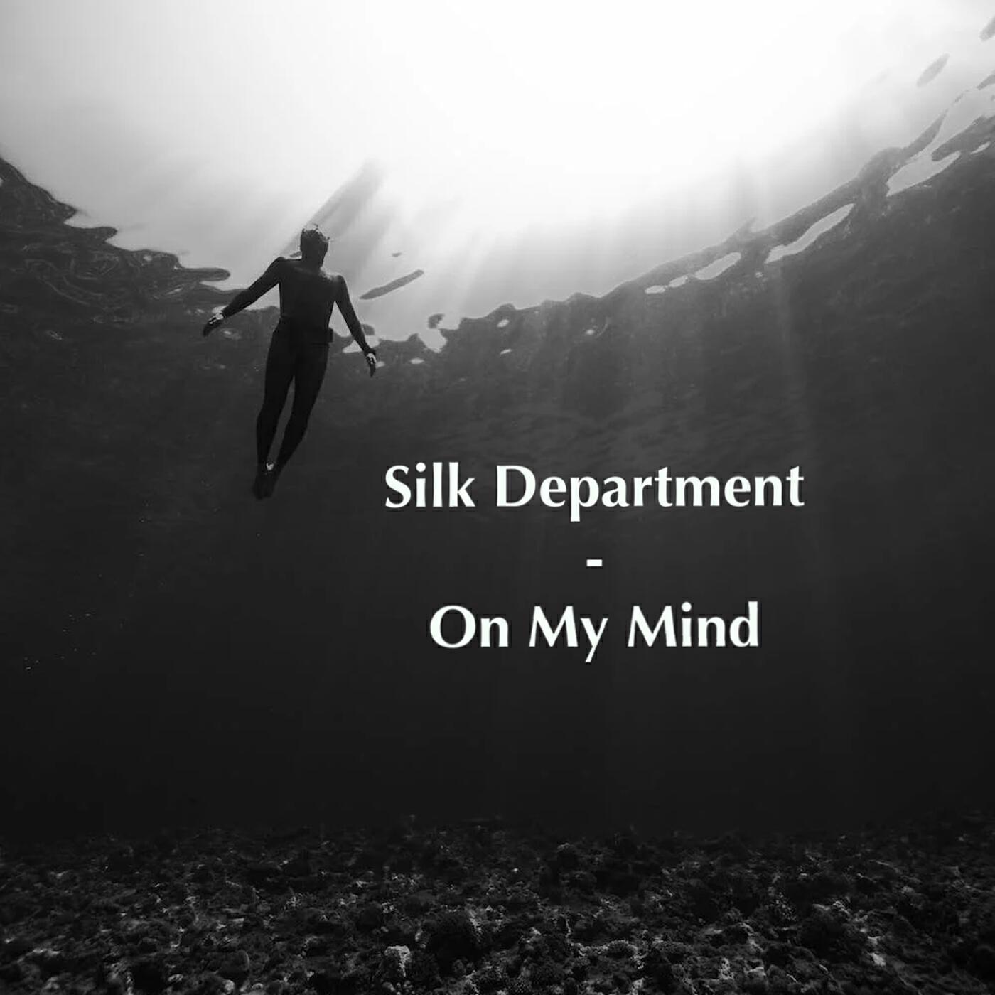 Silk Department