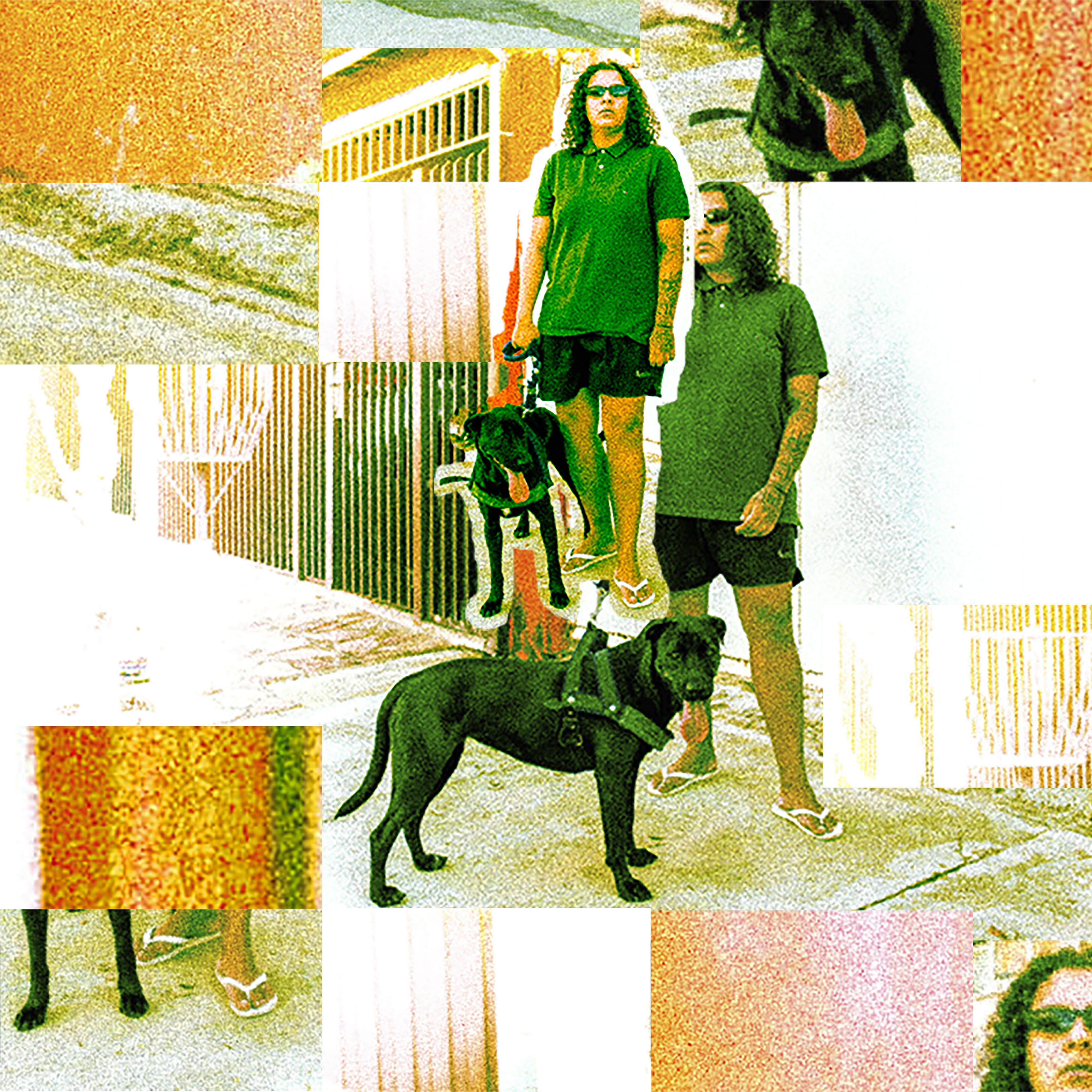 Релиз Não Paro