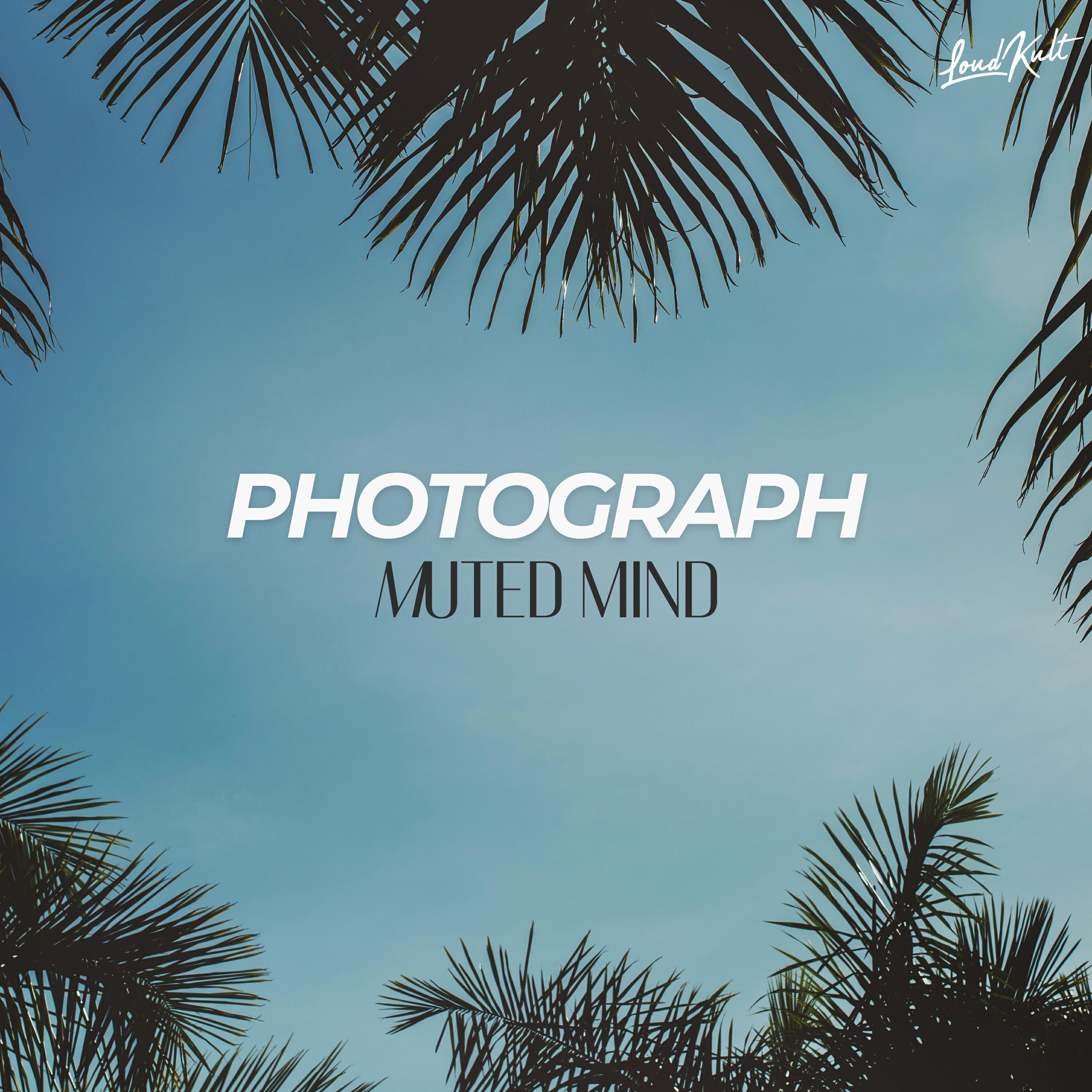 Постер альбома Photograph