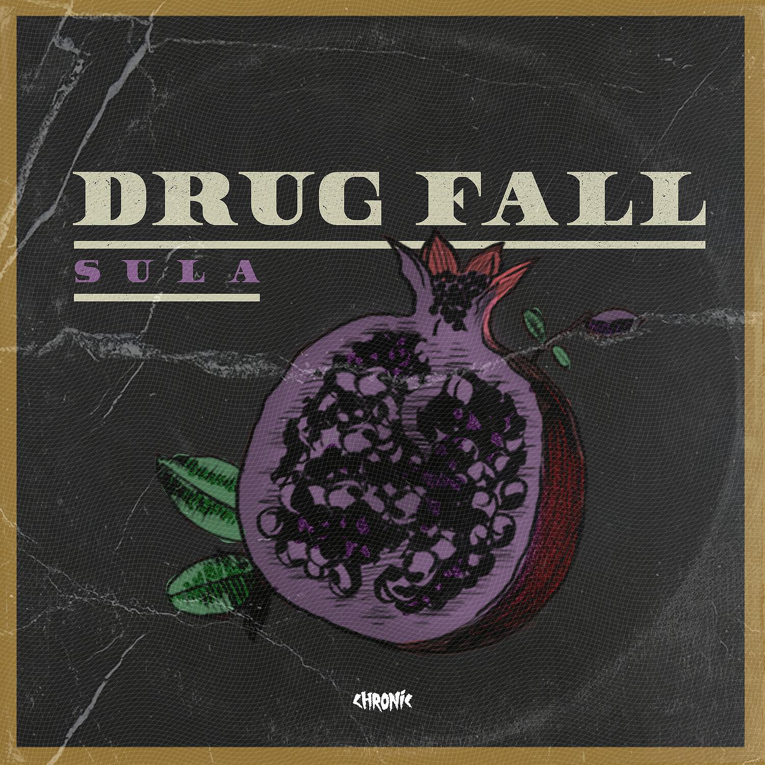 Релиз Drug Fall