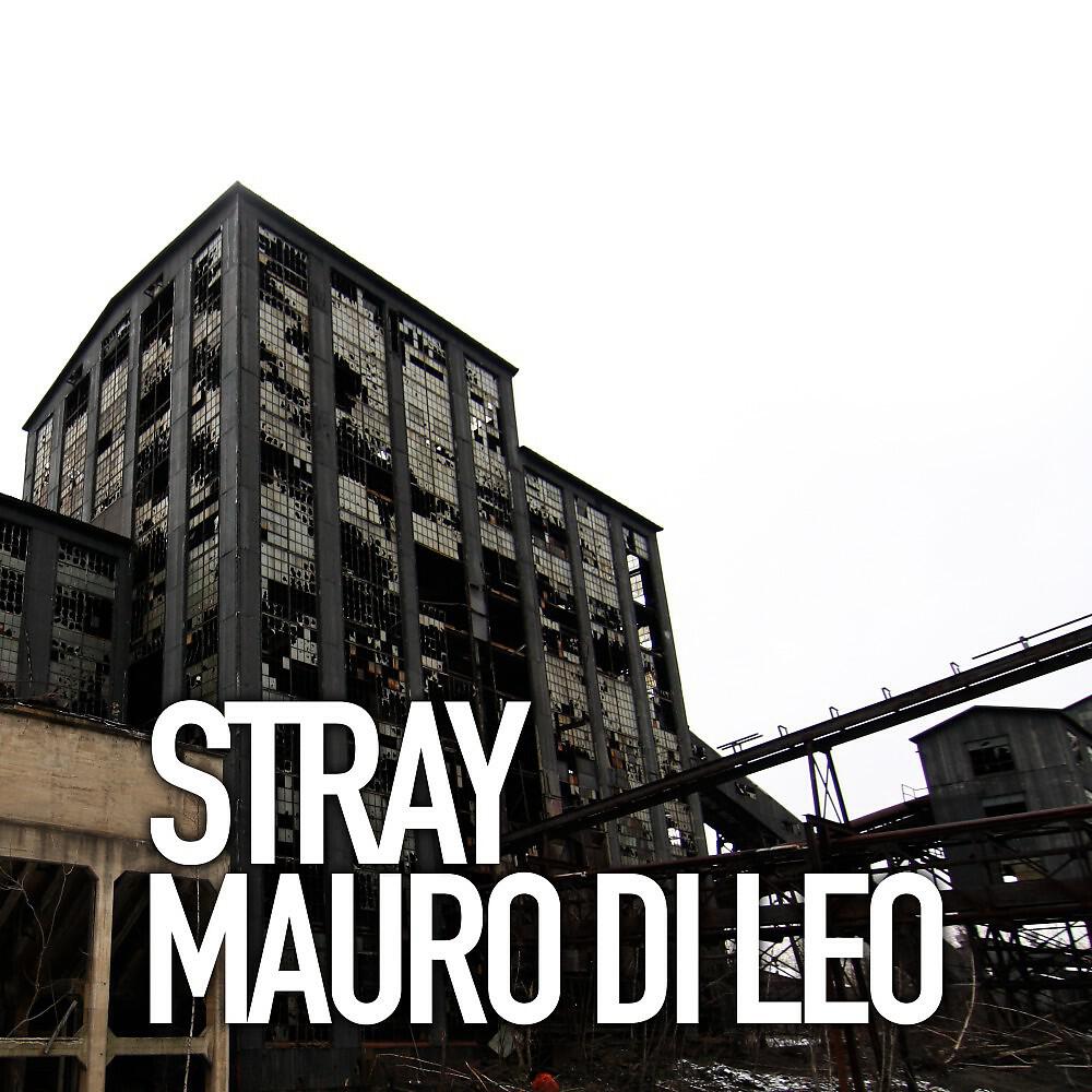 Релиз Stray