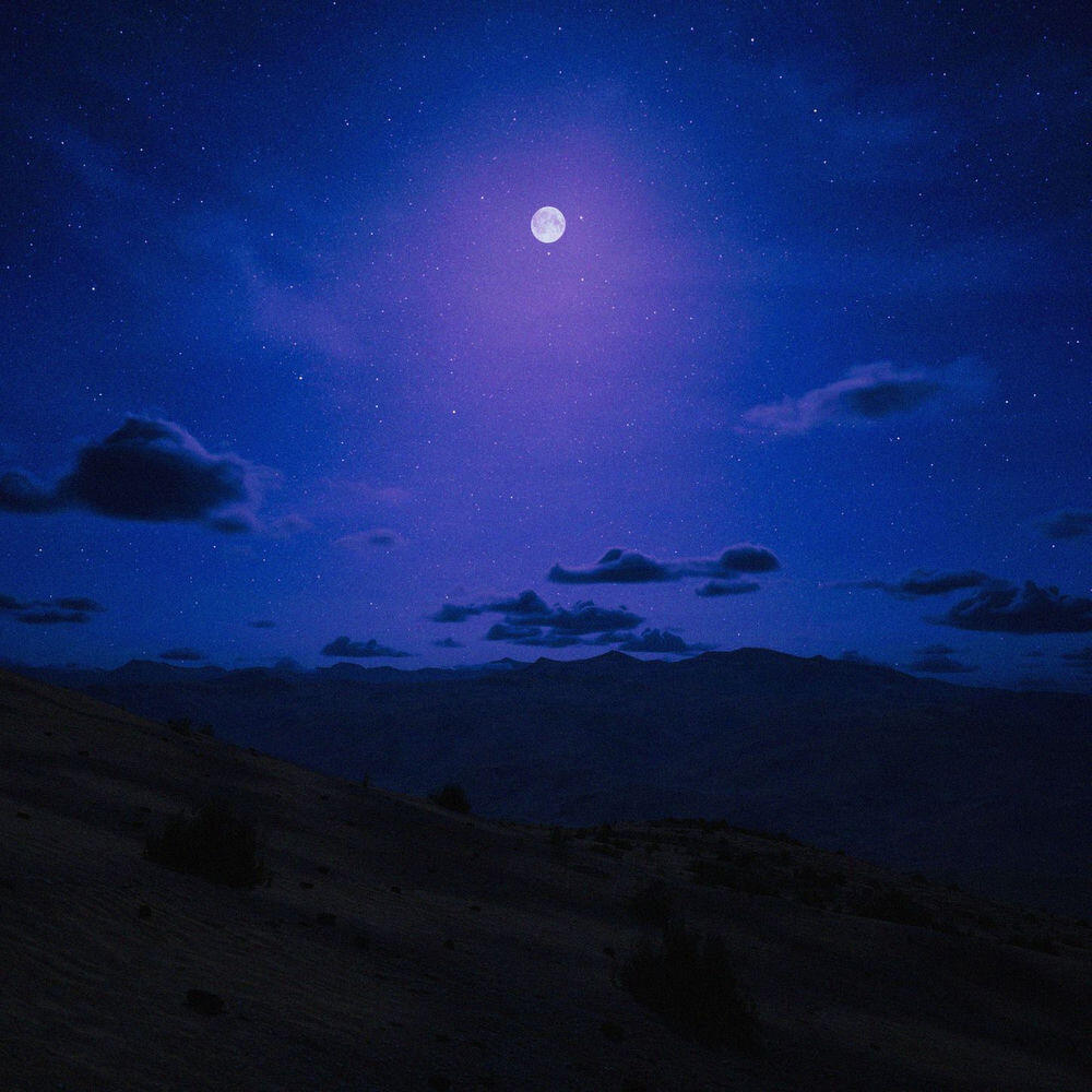 Релиз Moonlit Stroll