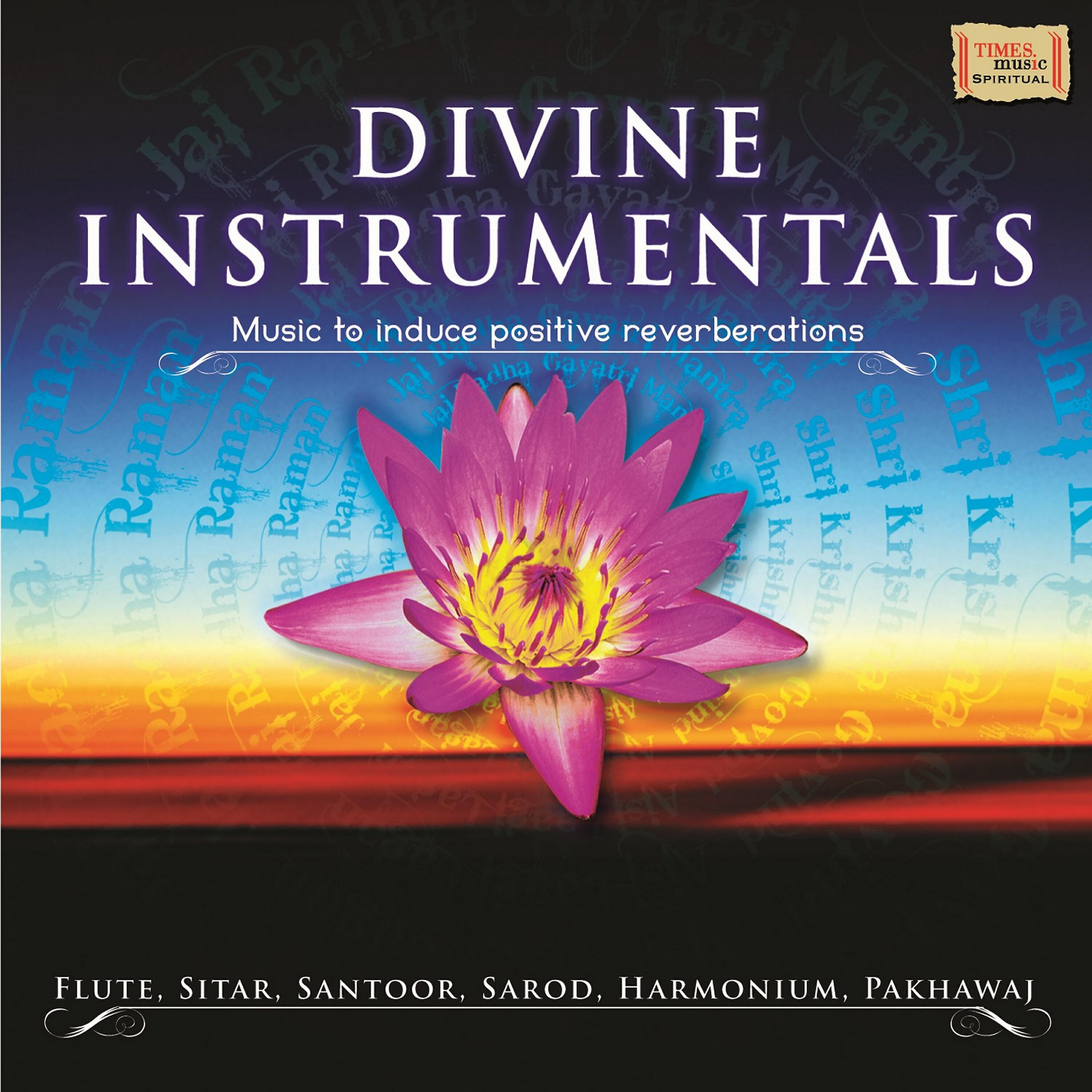 Релиз Divine Instrumentals