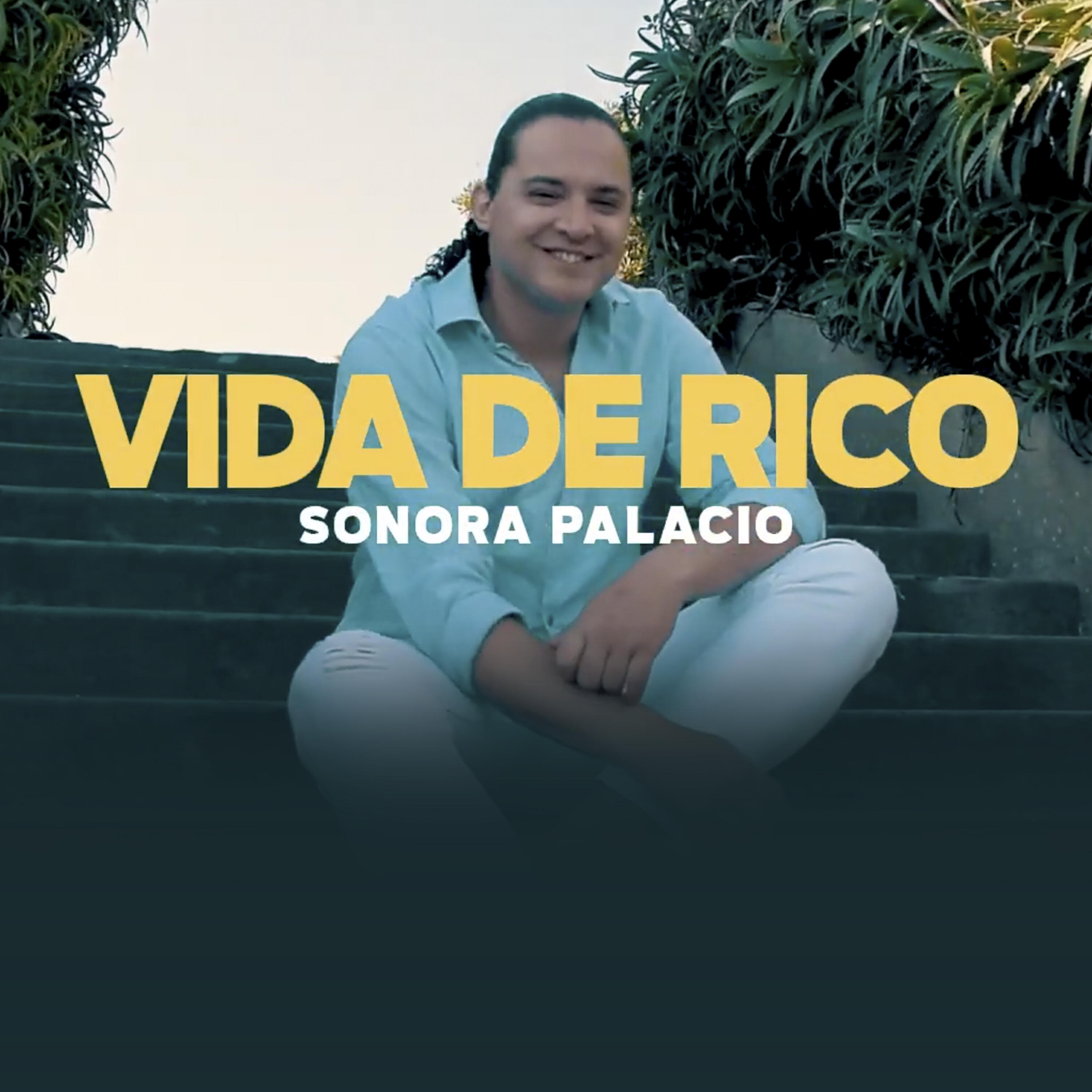 Релиз Vida de Rico