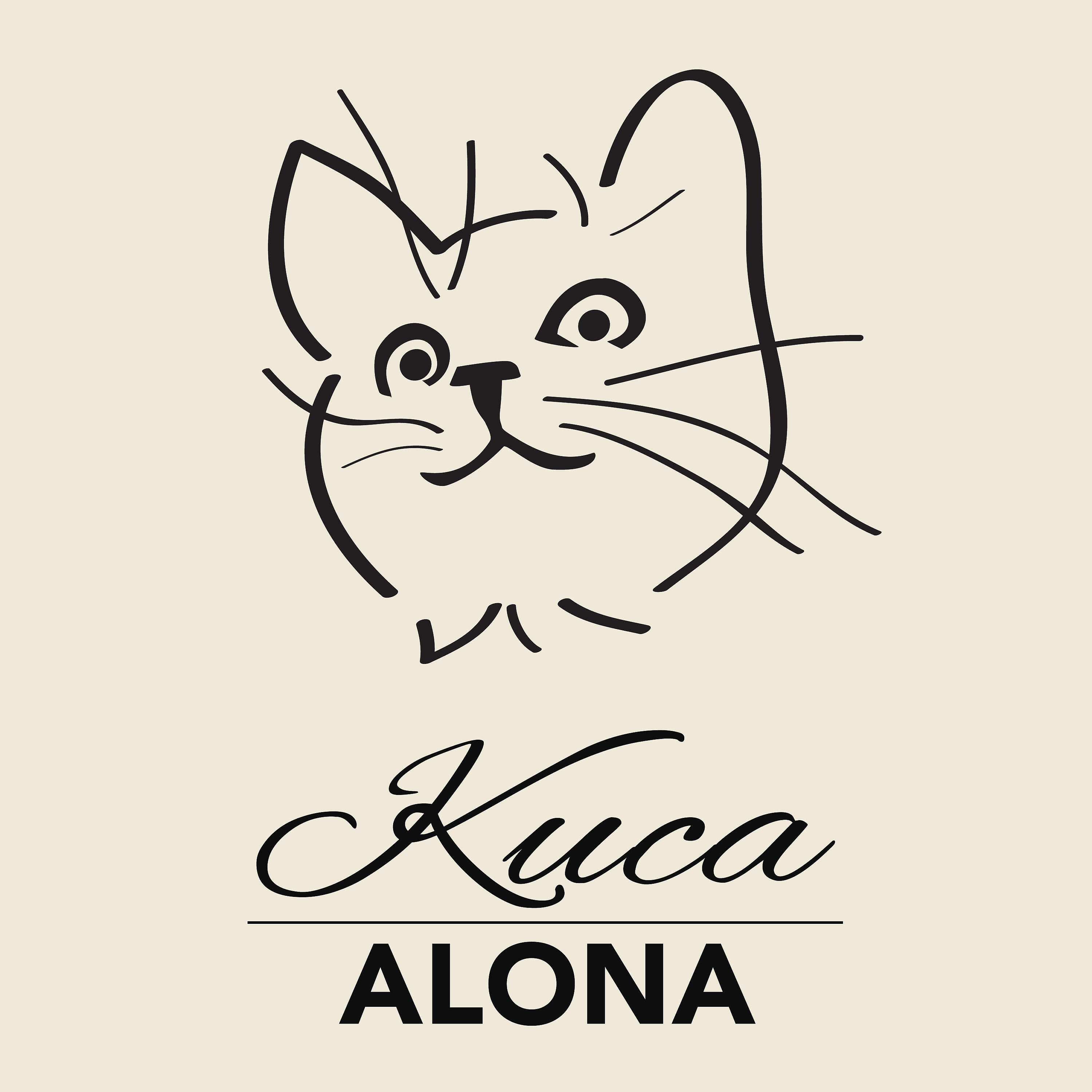 Релиз Киса