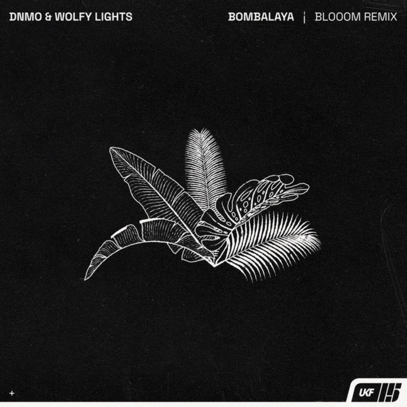Wolfy Lights