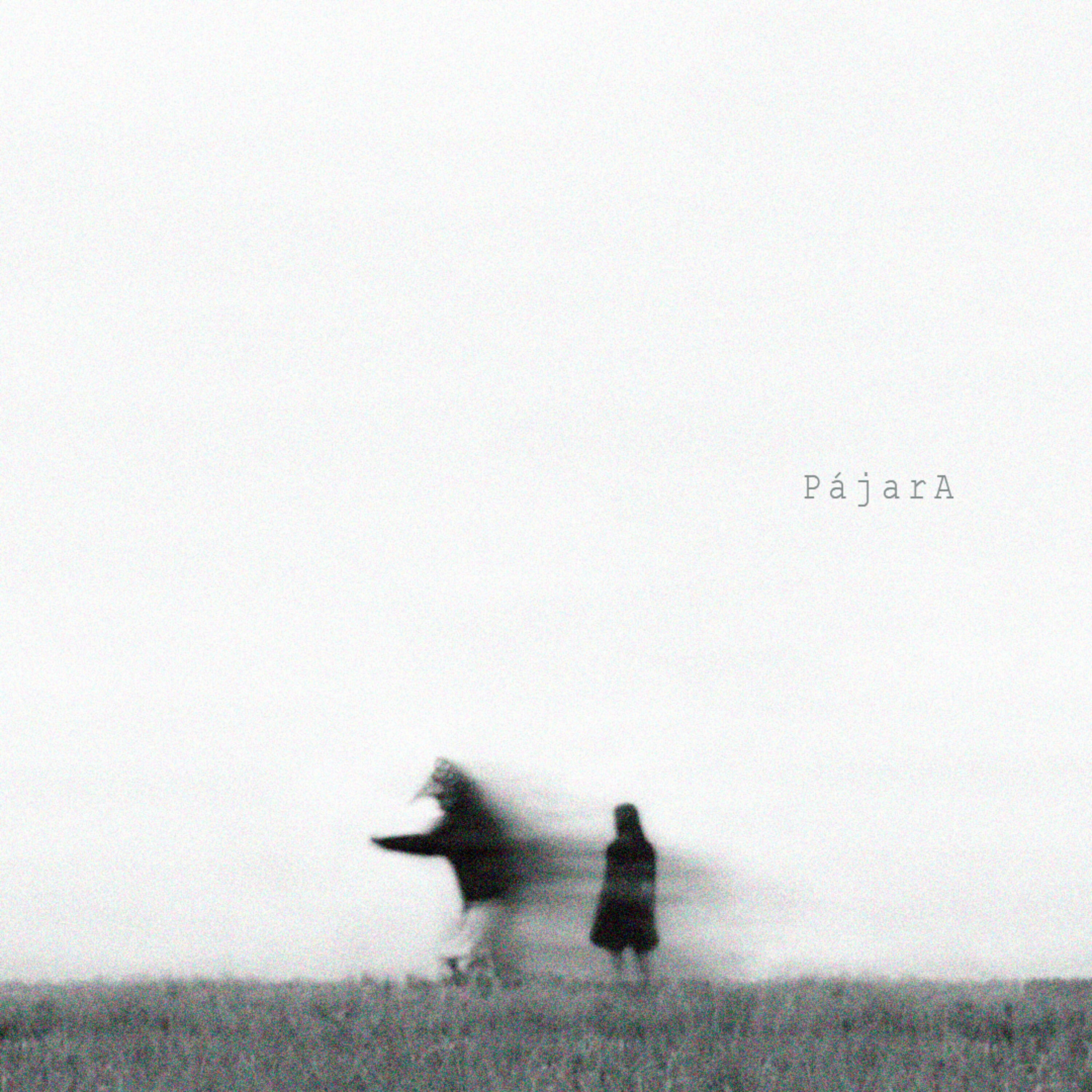 Релиз Pájara