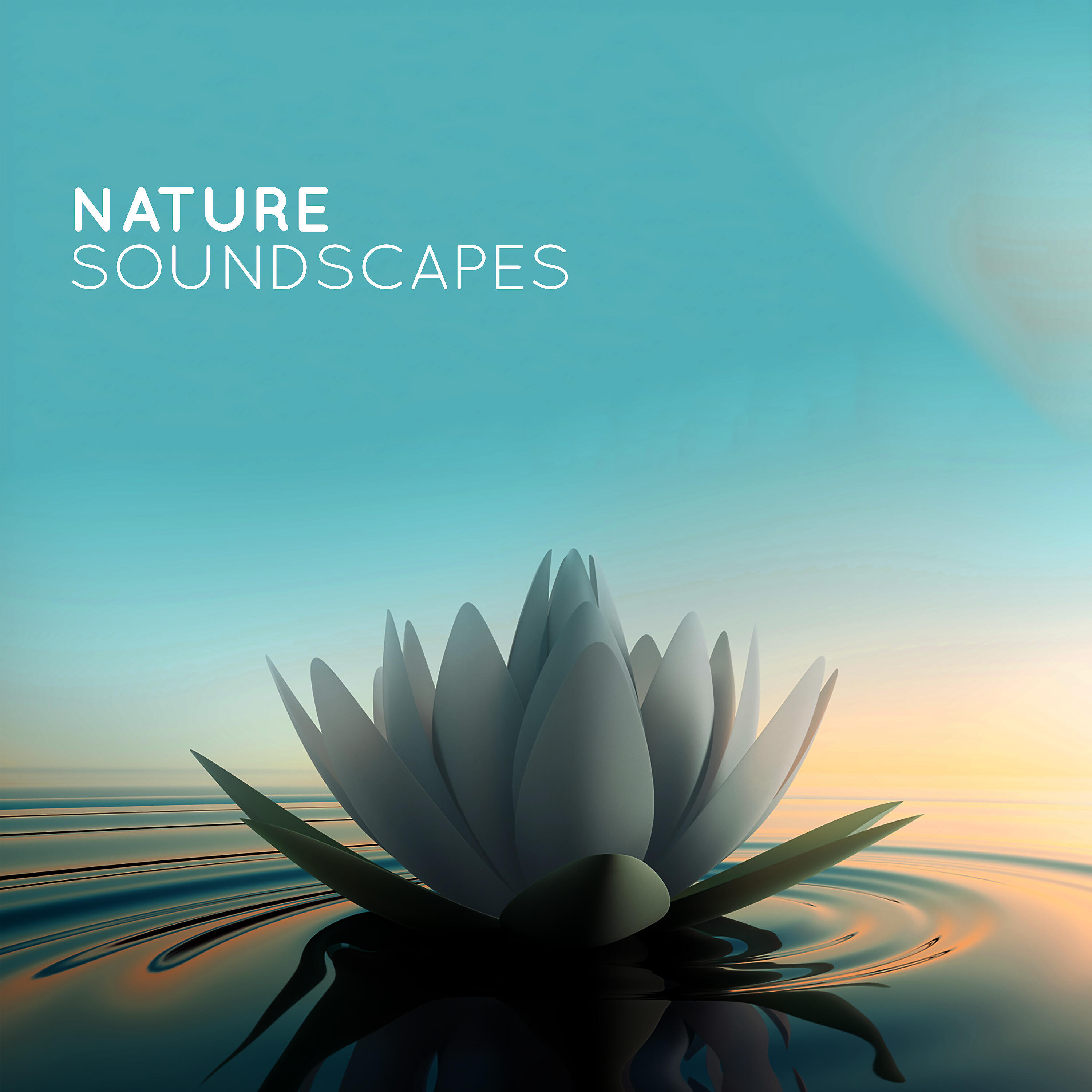 Релиз Nature Soundscapes