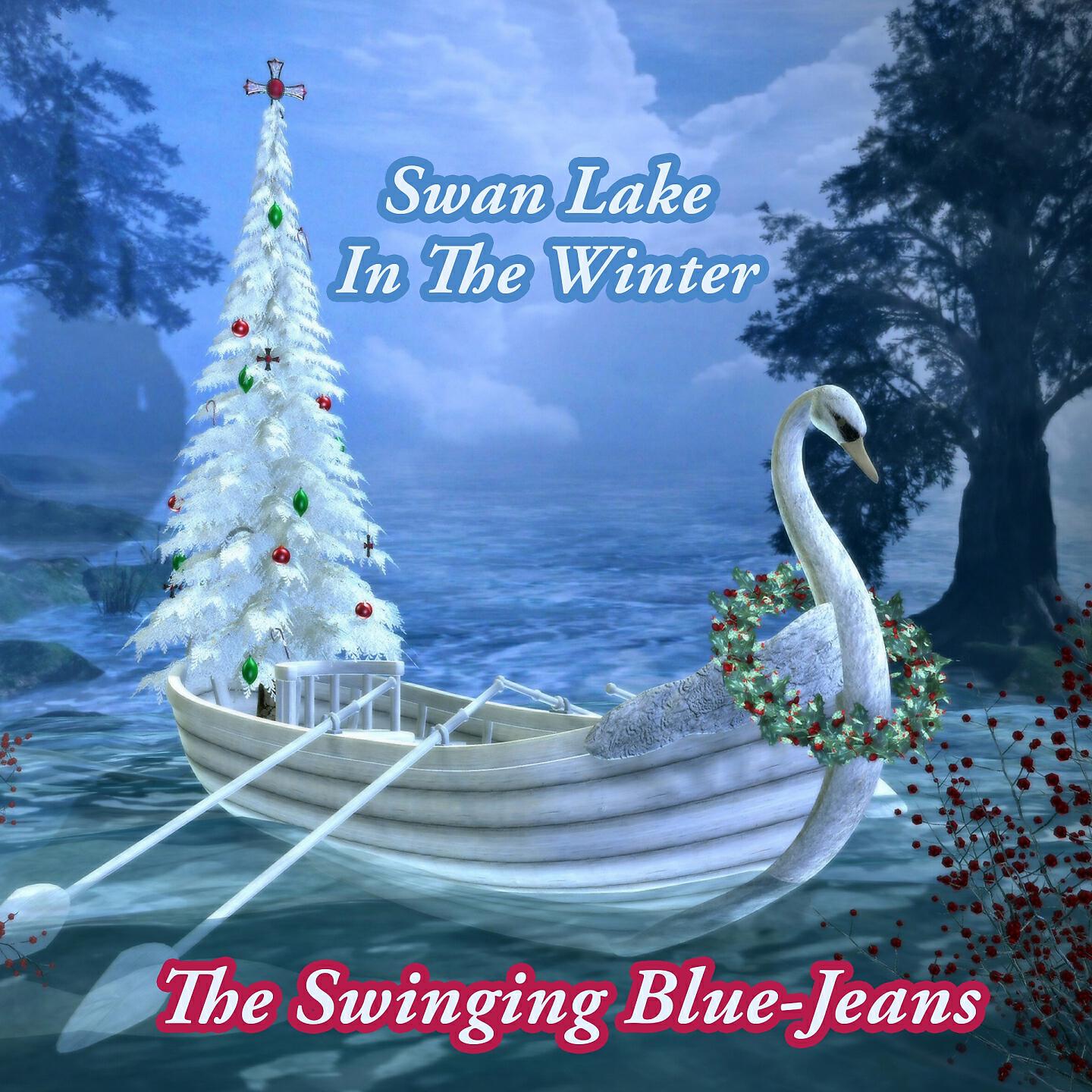 Релиз Swan Lake In The Winter
