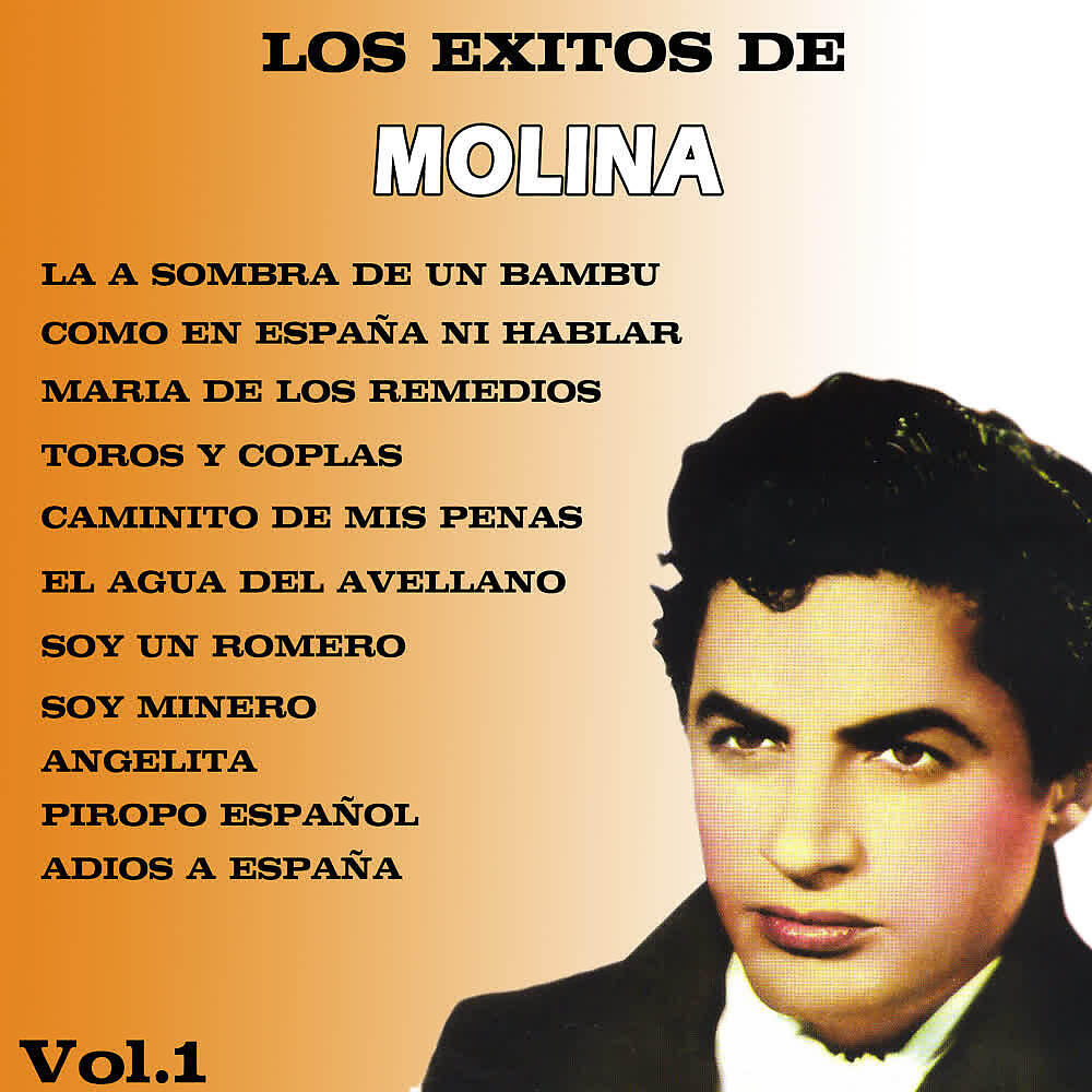 Релиз Los Exitos de Molina (Volumen I)