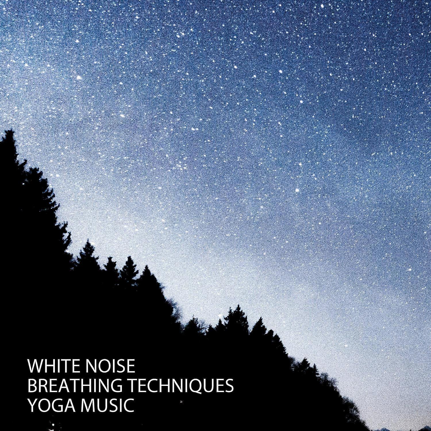 White Noise Studios
