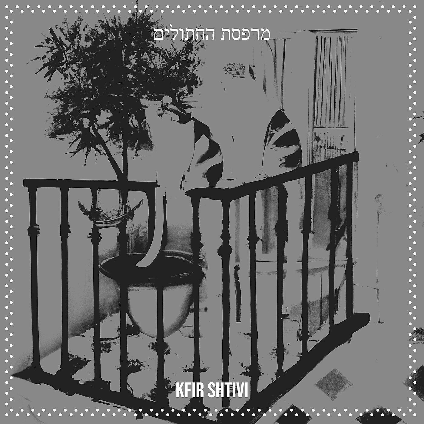 Релиз מרפסת החתולים