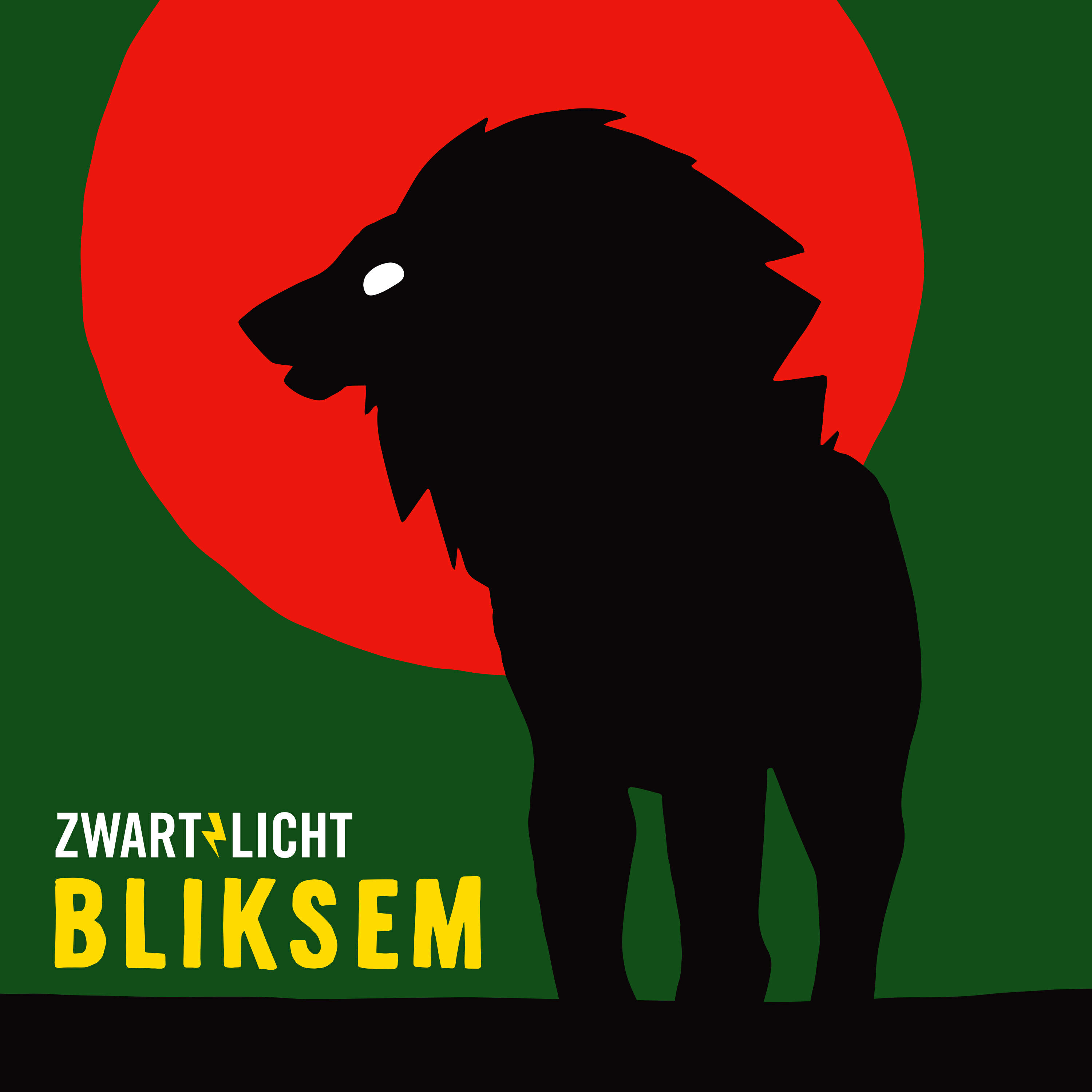 Релиз Bliksem