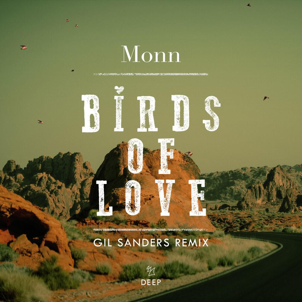 Релиз Birds of Love (Gil Sanders Remix)