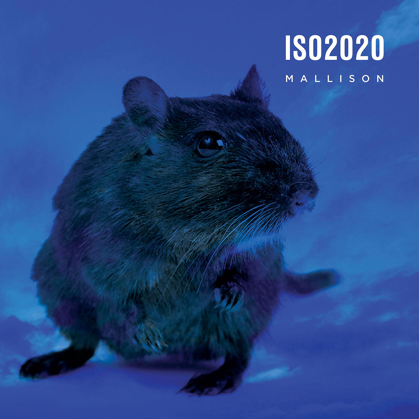 Релиз Iso2020