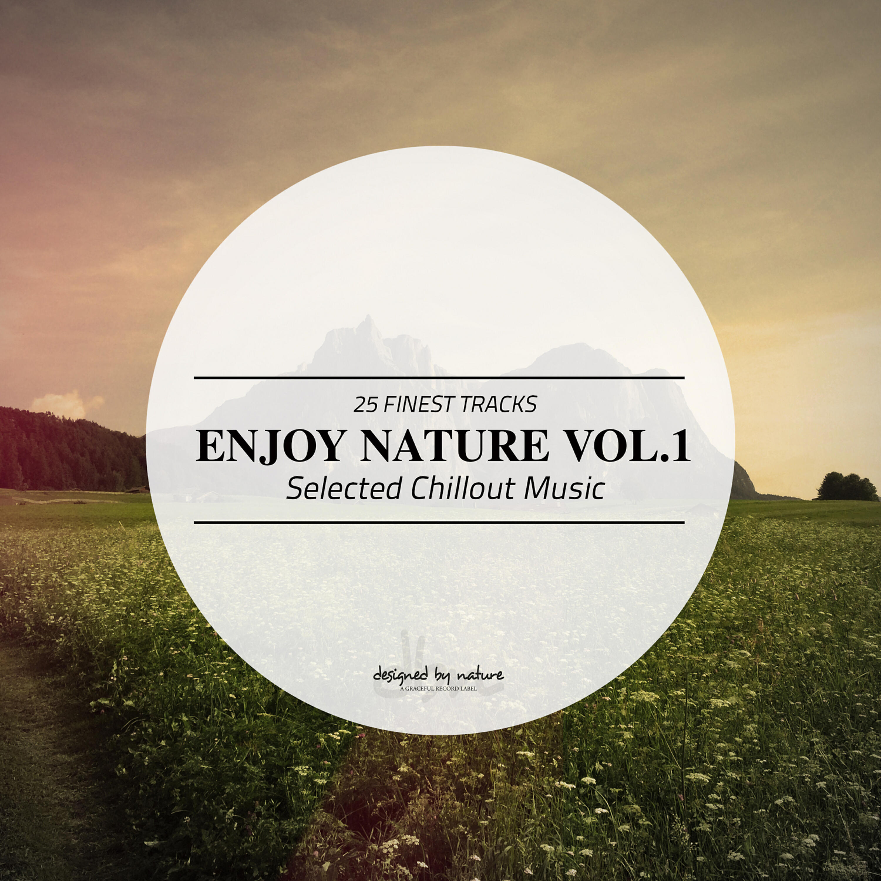 Релиз Enjoy Nature Vol.1 - Selected Chillout Music