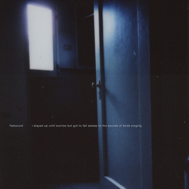 Релиз I Stayed Up Until Sunrise But Got to Fall Asleep to the Sounds of Birds Singing (A Compilation of Songs From 2008-2013)
