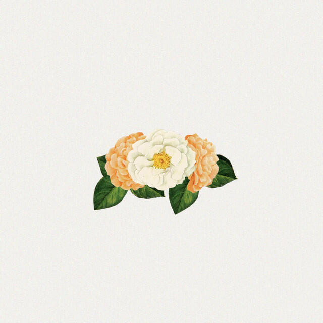 Релиз Always Faithful