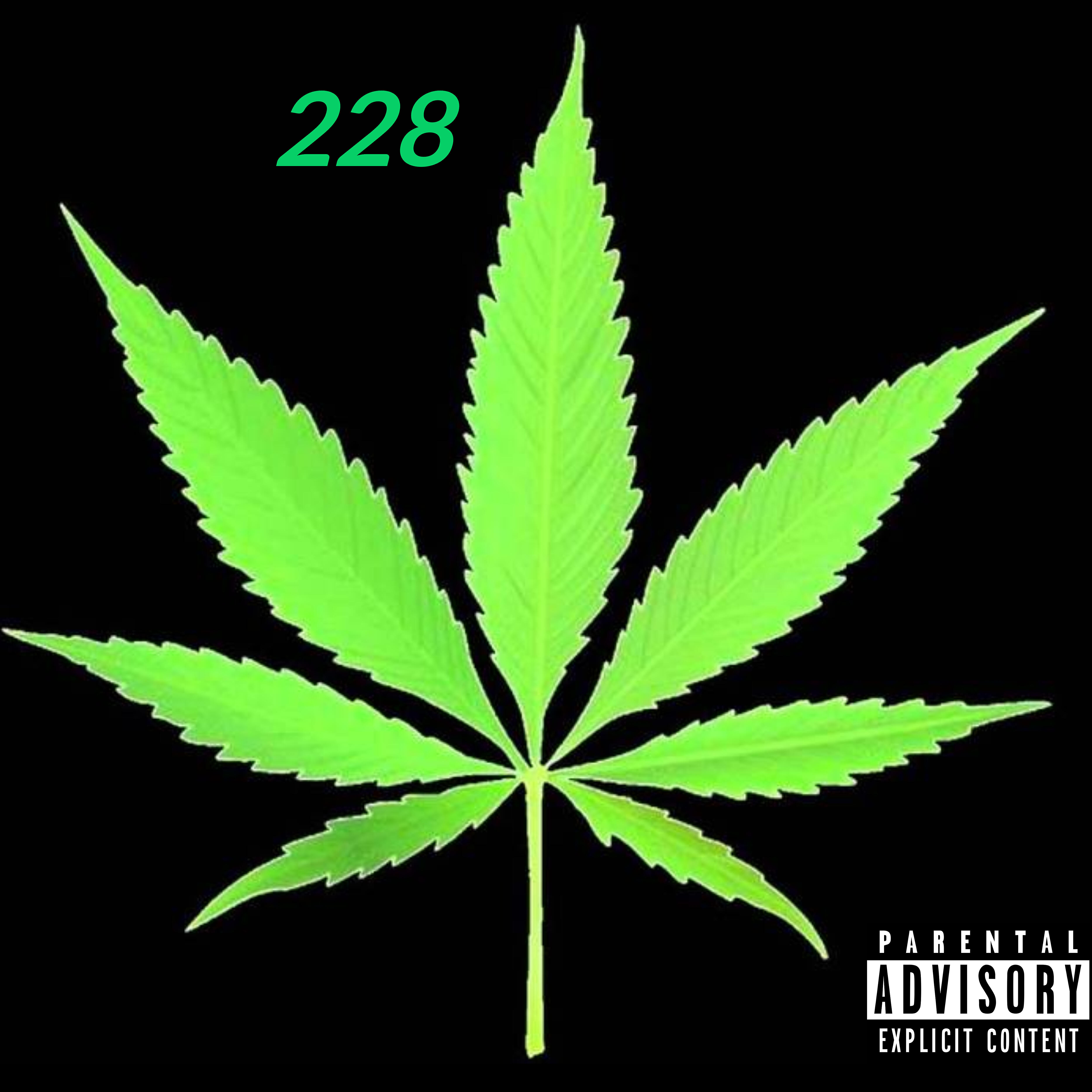 Постер альбома 228