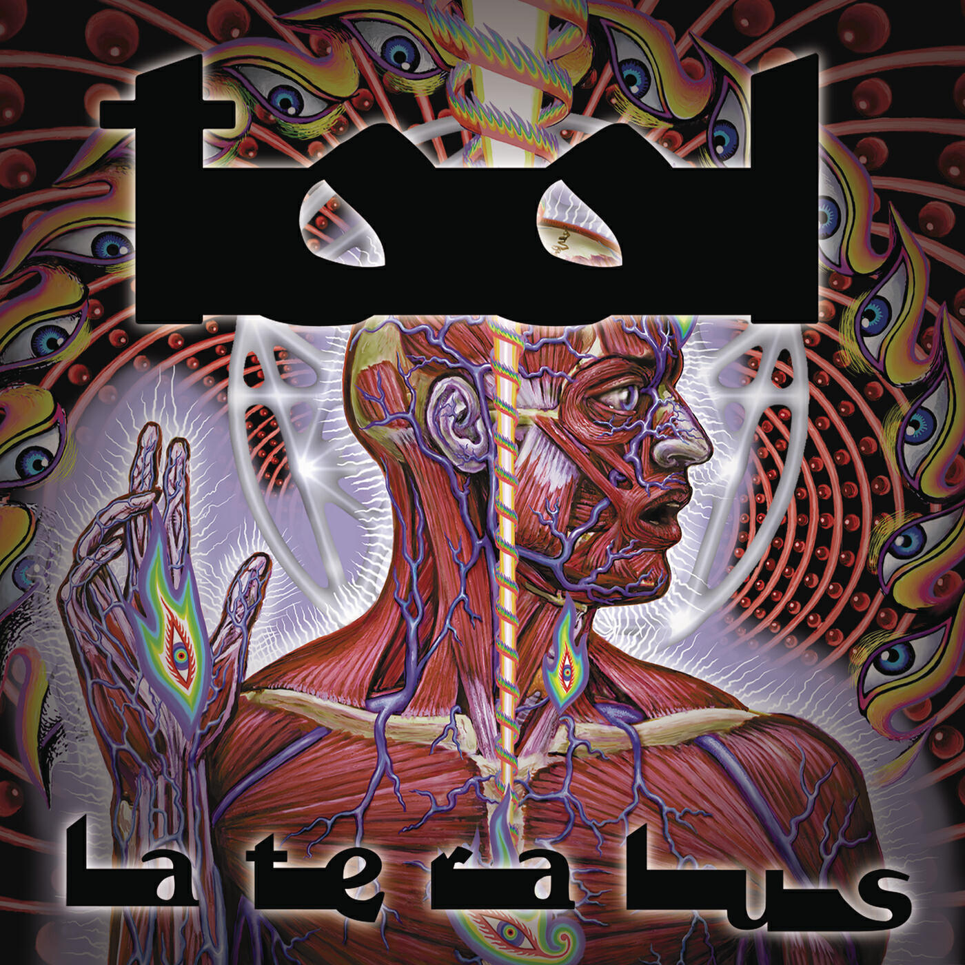 Альбом Lateralus - Tool - слушать все треки онлайн на Zvuk.com