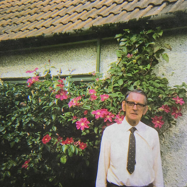 Релиз Alternate Ending