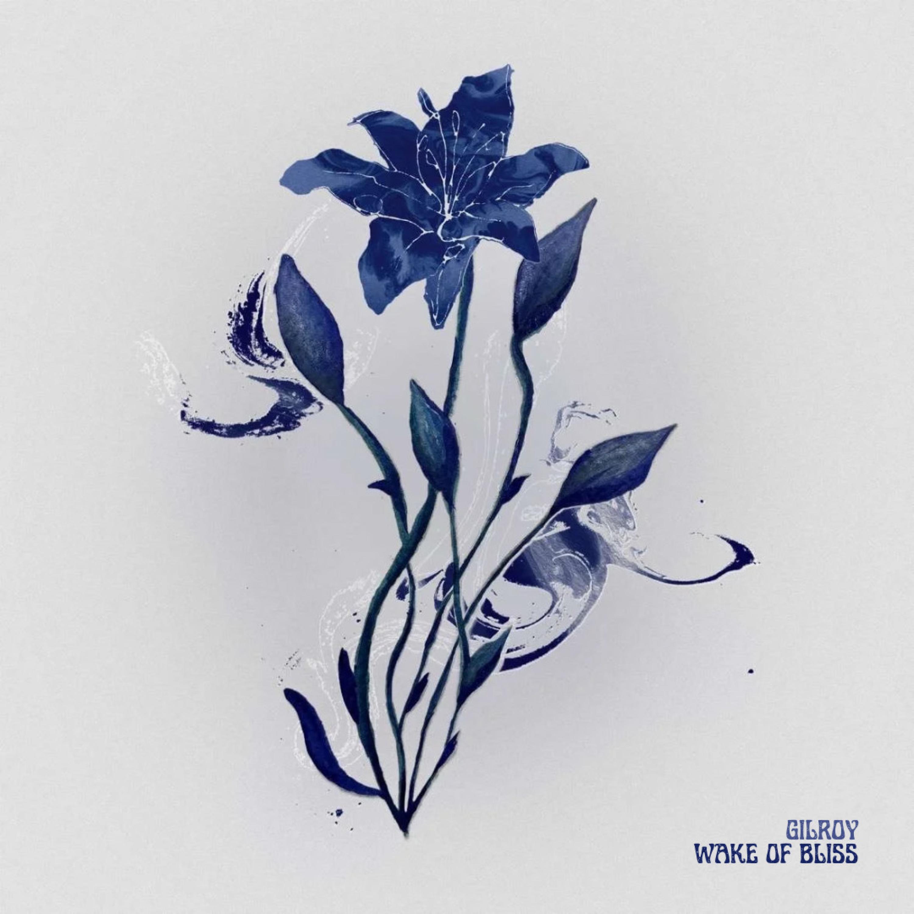 Релиз Wake of Bliss