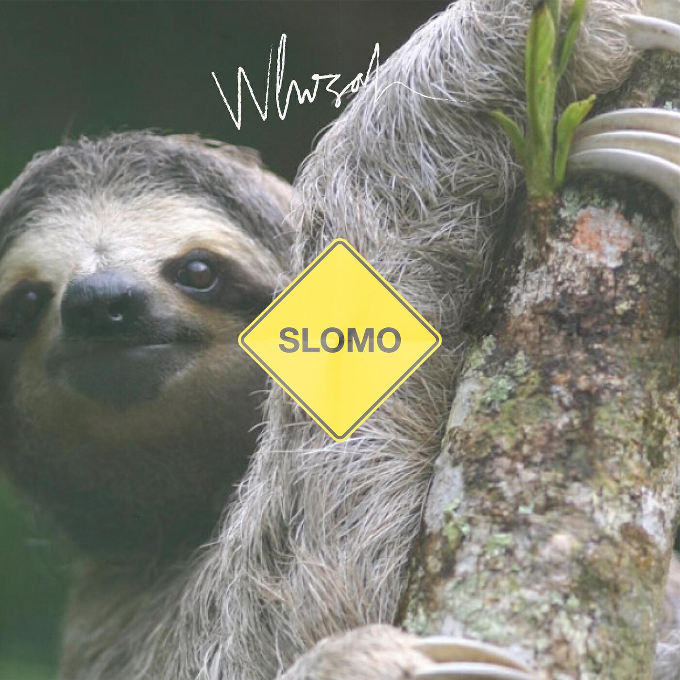 Релиз Slomo