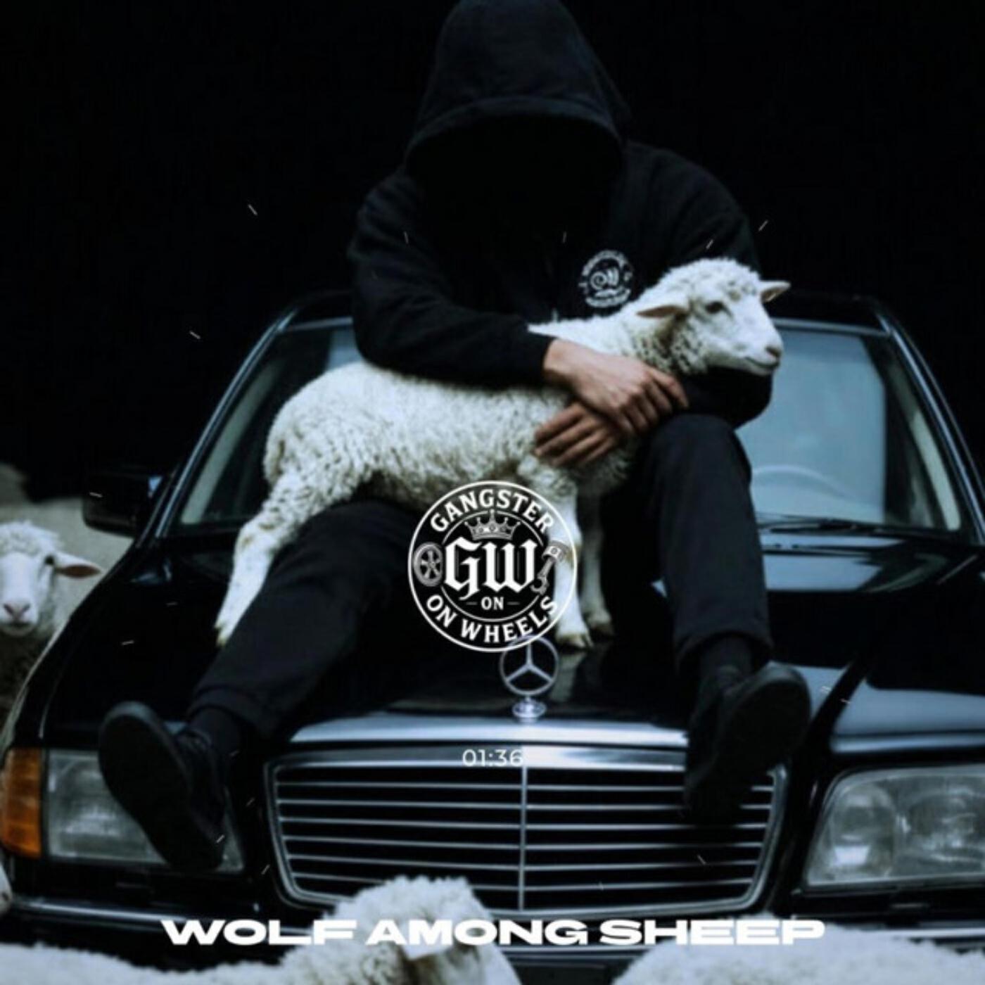 Релиз Wolf Among Sheep