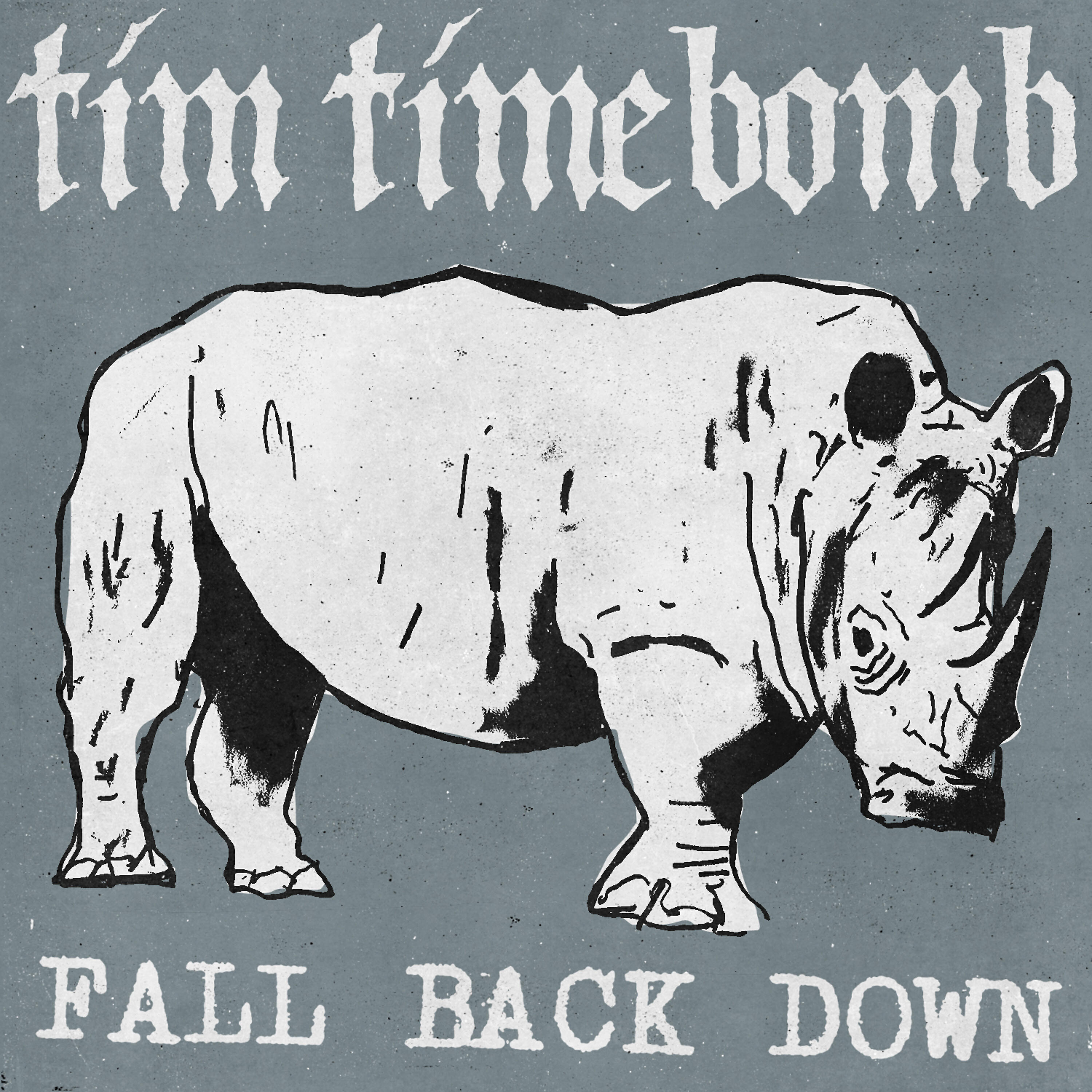 Постер альбома Fall Back Down