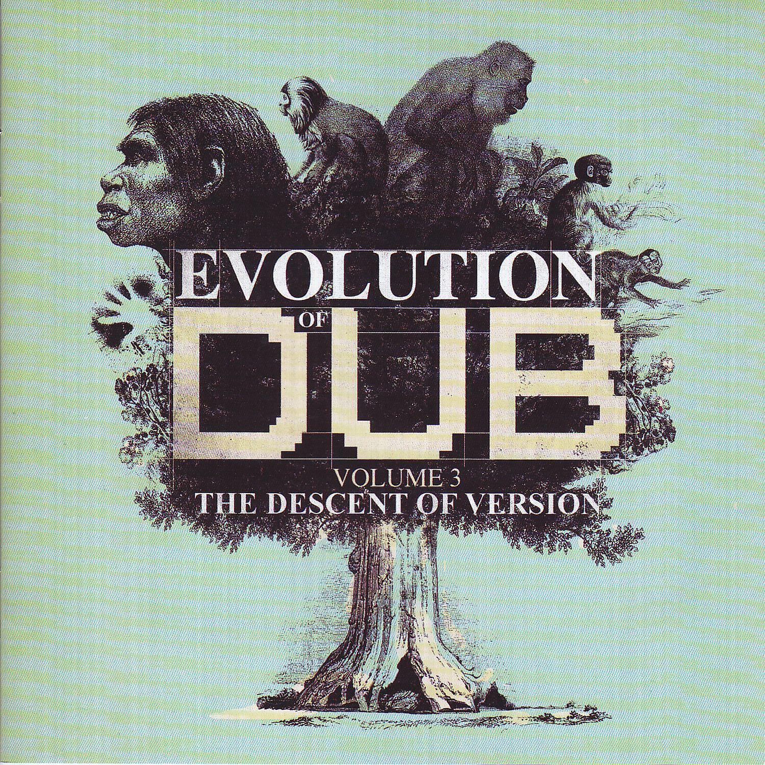 Релиз Evolution Of Dub Vol 3