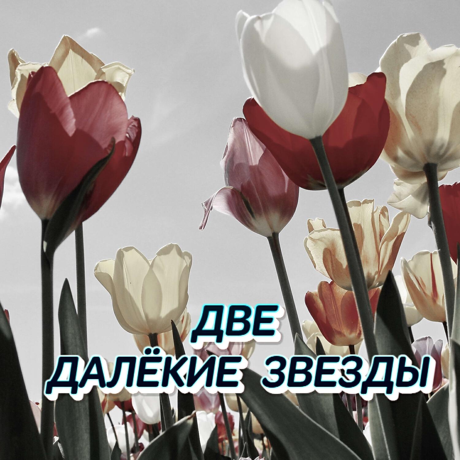 Постер альбома ДВЕ ДАЛЁКИЕ ЗВЕЗДЫ