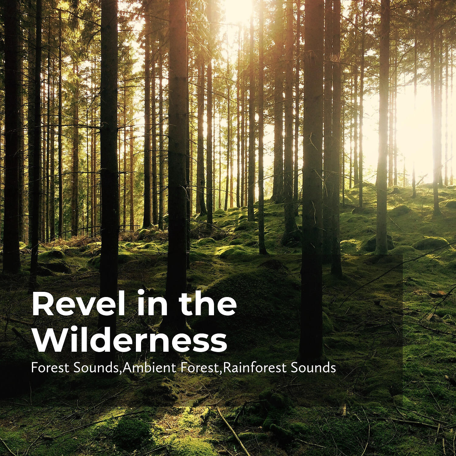 Релиз Revel in the Wilderness