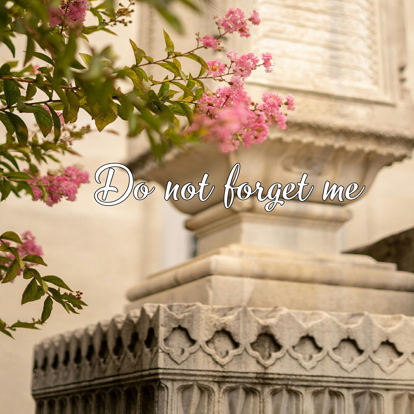 Постер альбома Do Not Forget Me