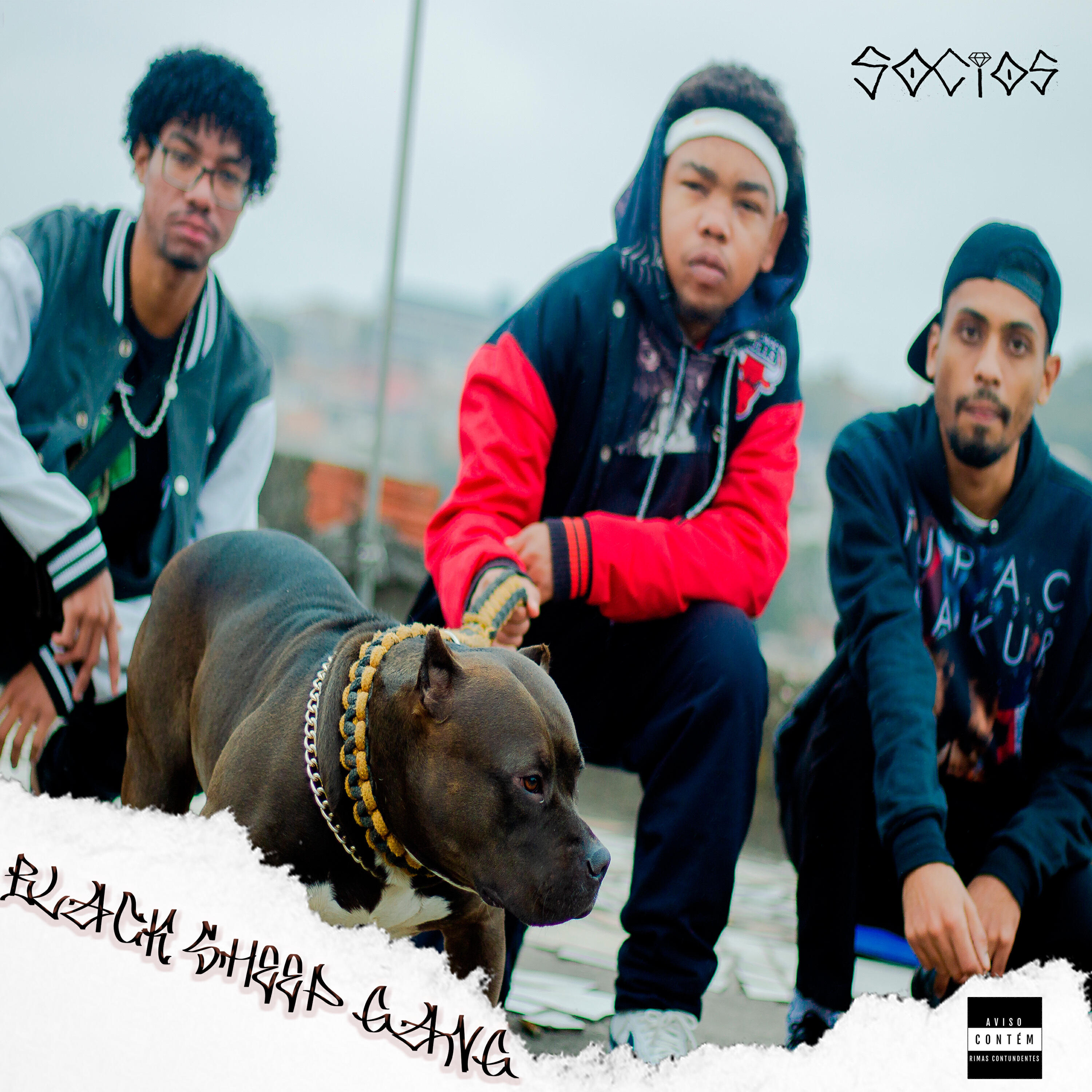 Релиз Black Sheep Gang