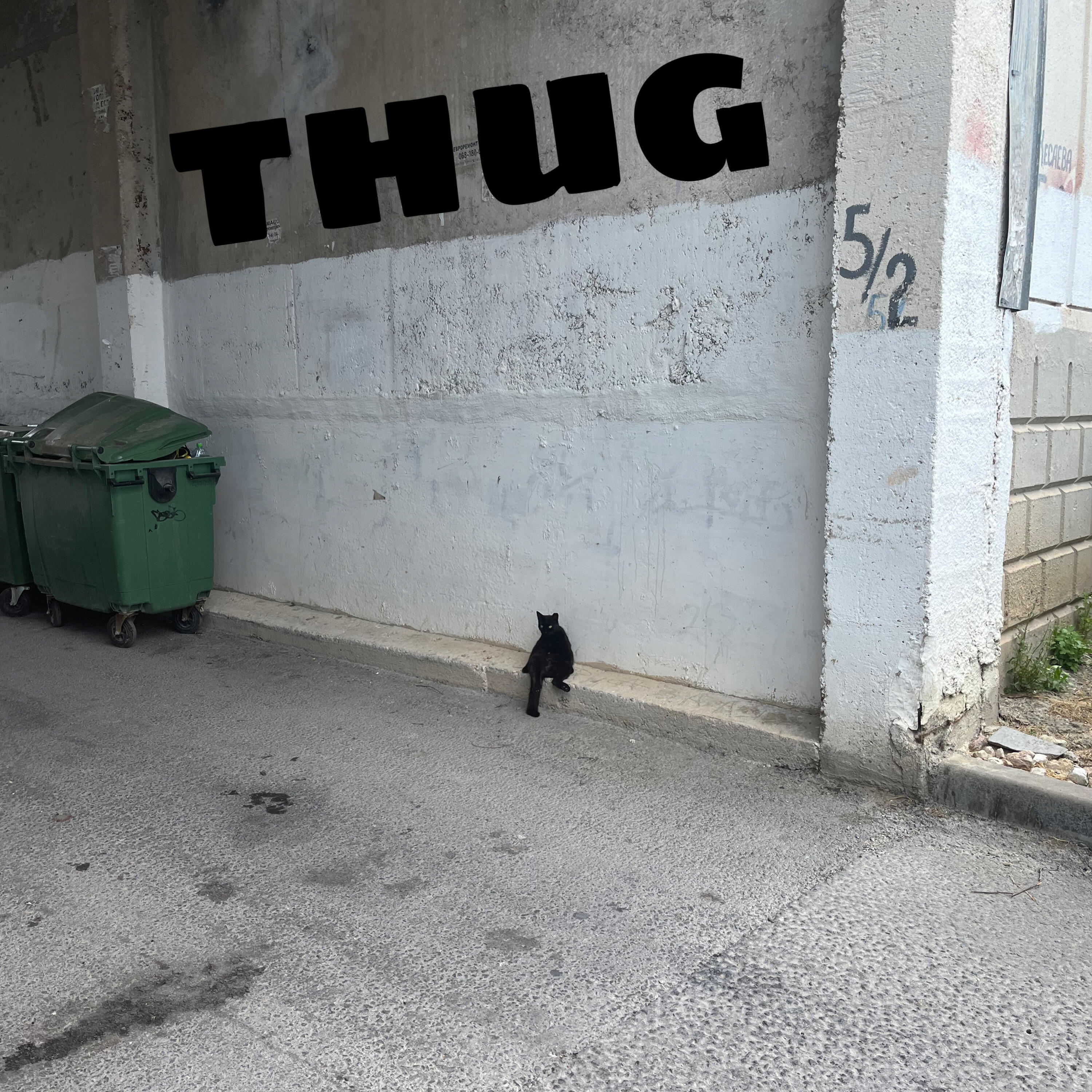 Релиз Thug