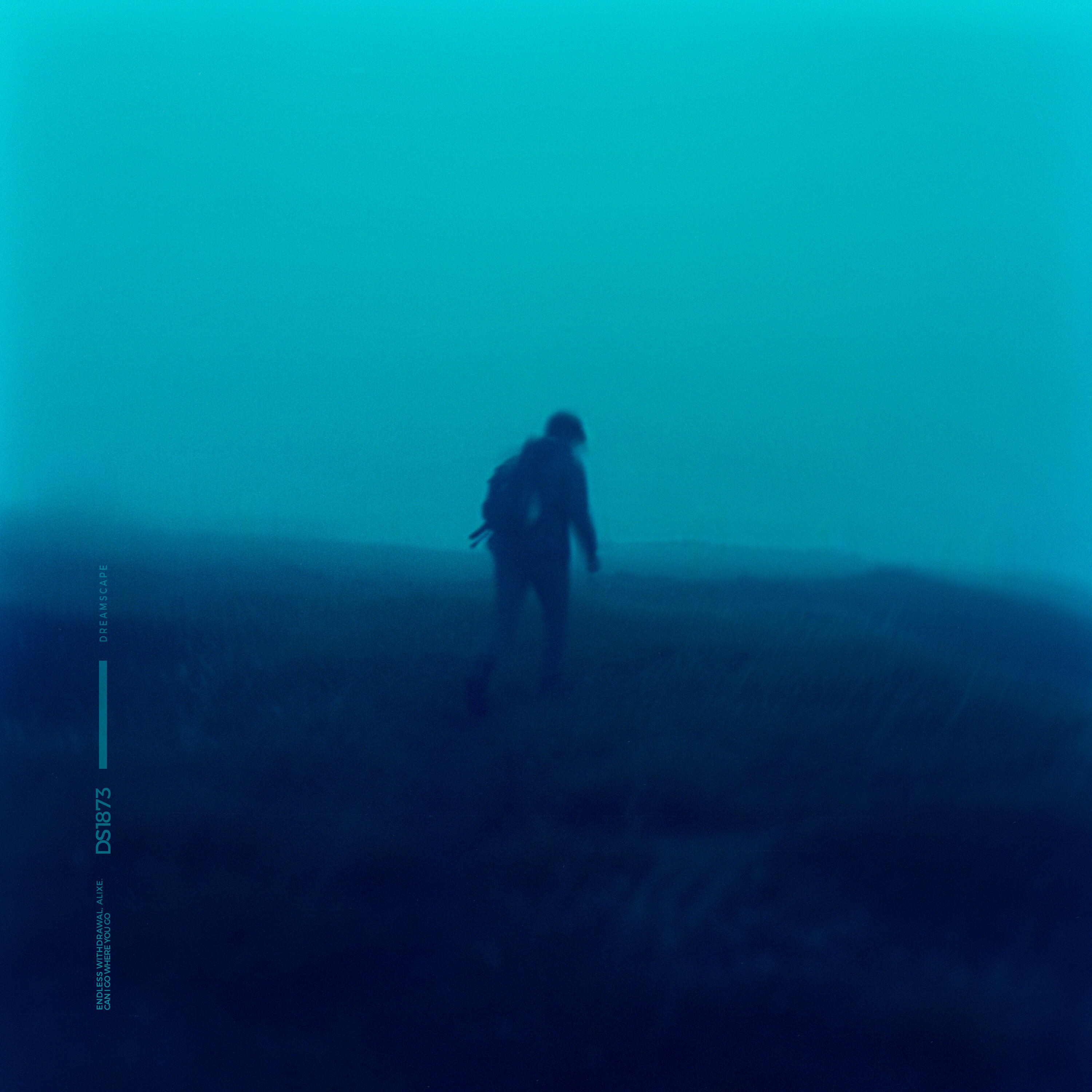 Релиз can i go where you go